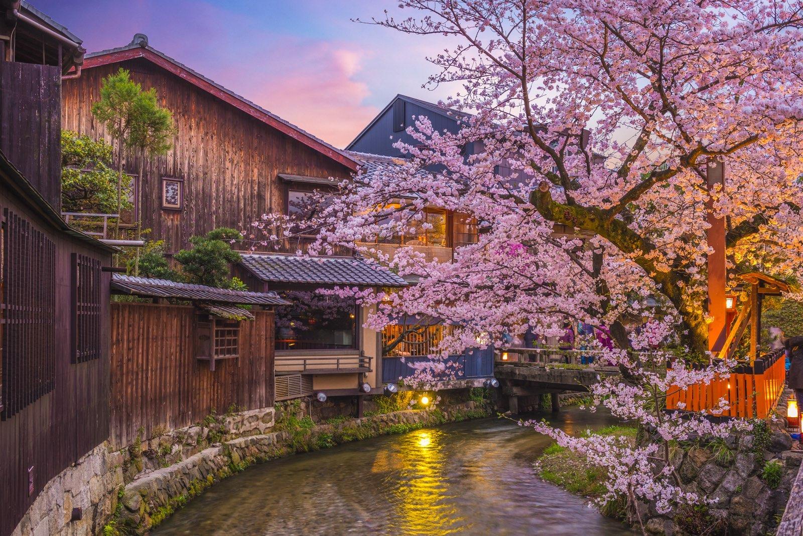 Gion Corner Kyoto - evening streets and teahouse district around the theatre — image 6