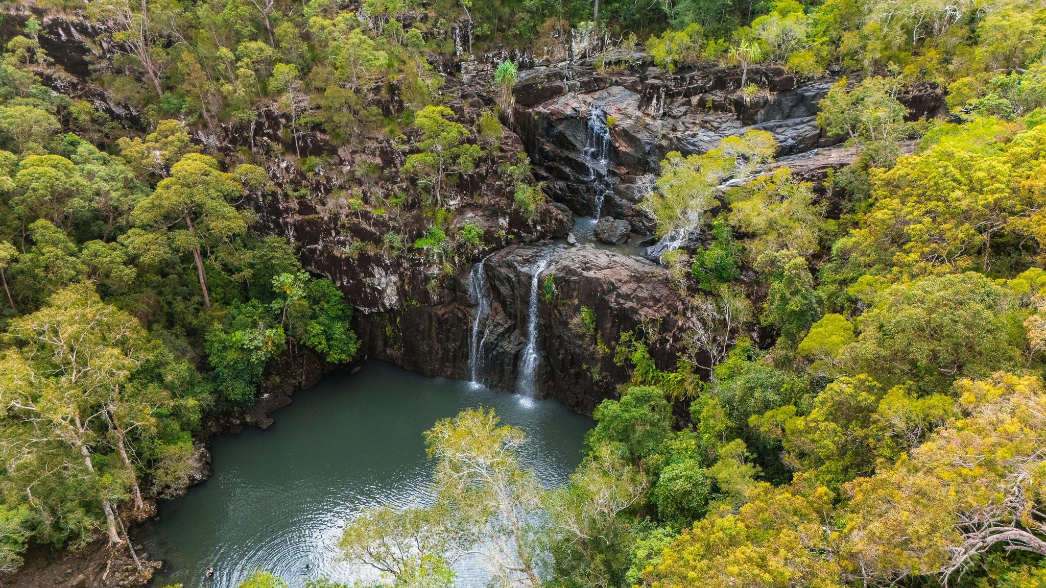 Cedar Creek Falls Eco Tour from Airlie Beach