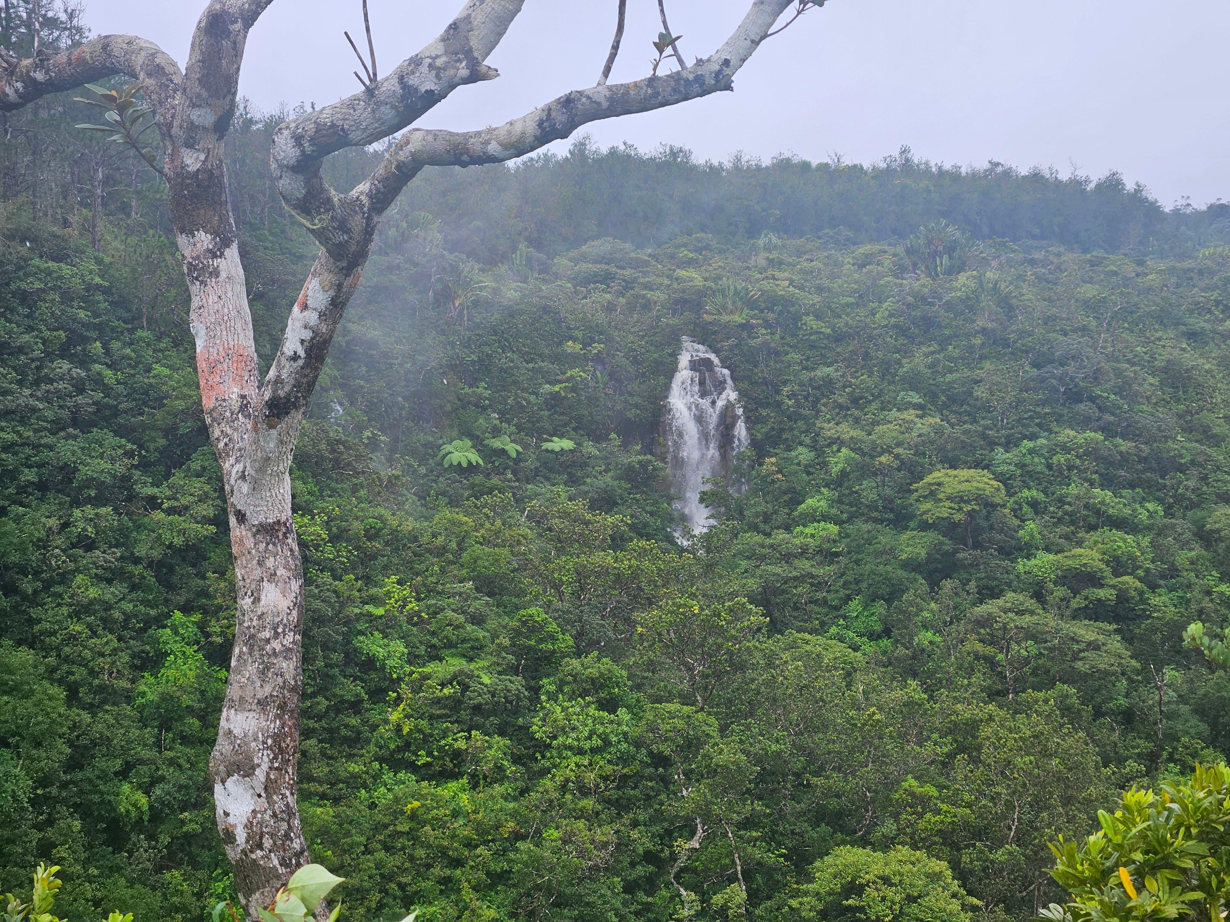 Private Southwest Mauritius: Chamarel & Nature Highlights