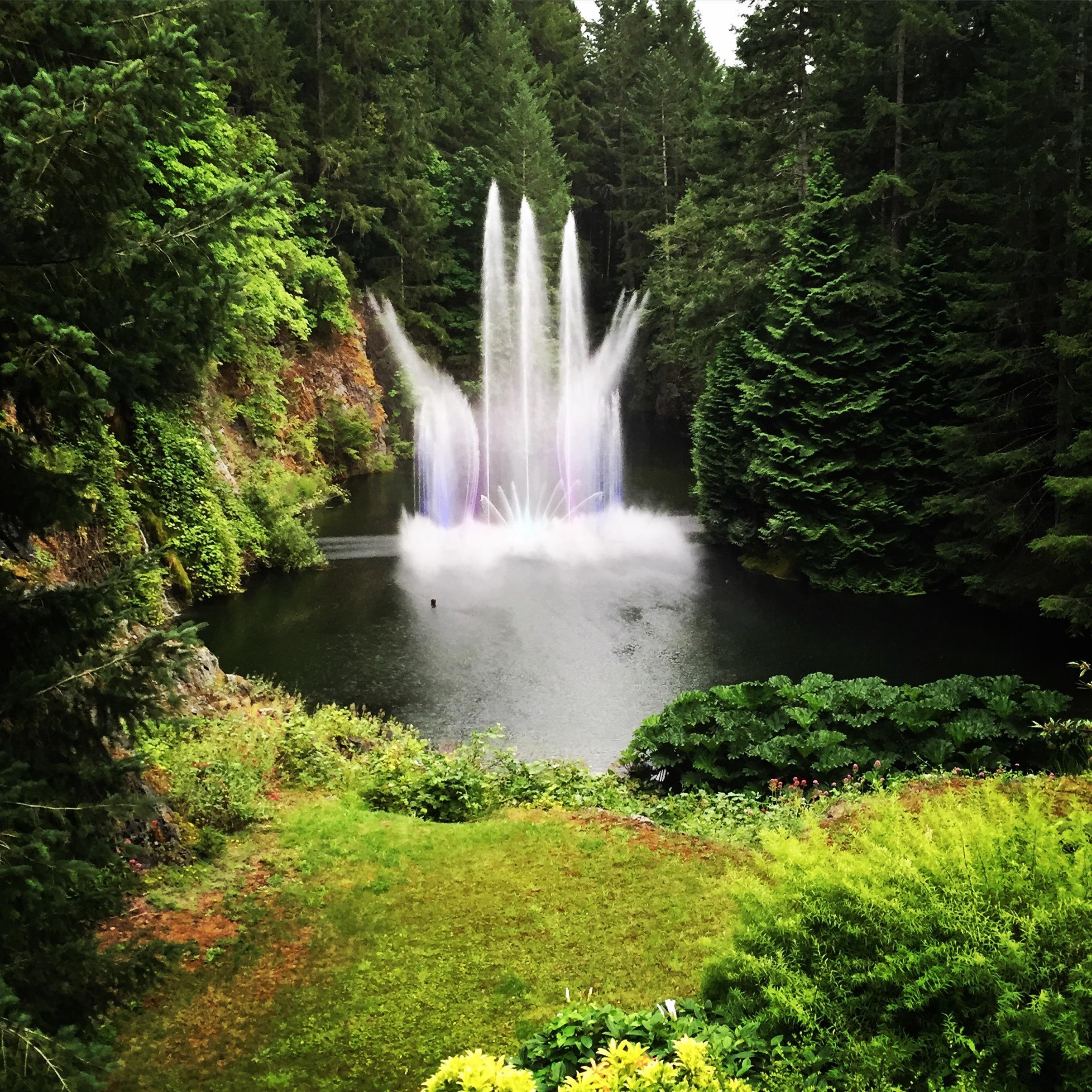 Victoria City Highlights & Butchart Gardens Guided Combo