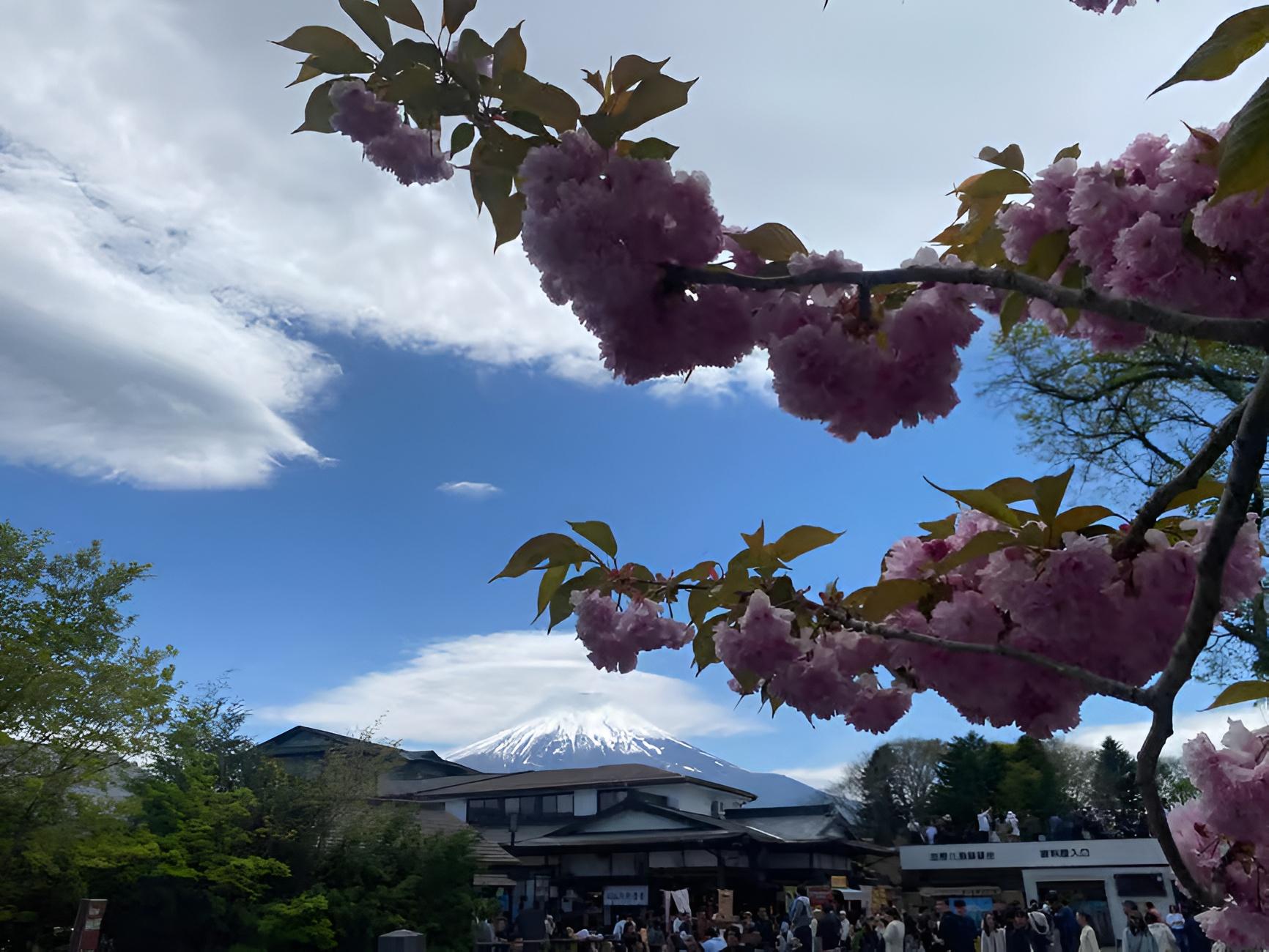 Private Tokyo Day Trip: Mount Fuji & Hakone with English-Speaking Driver