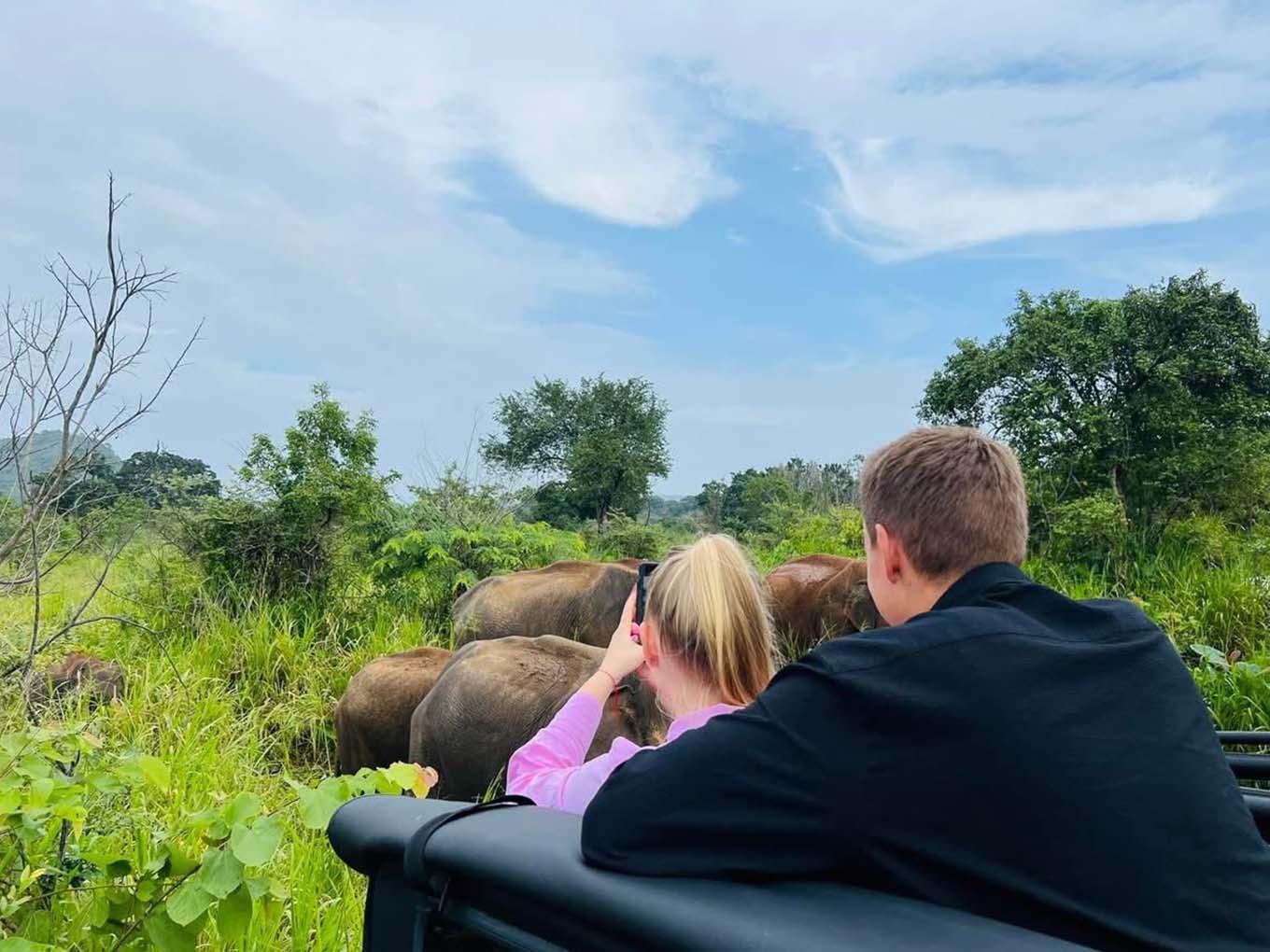 Minneriya National Park Wildlife Safari from Sigiriya