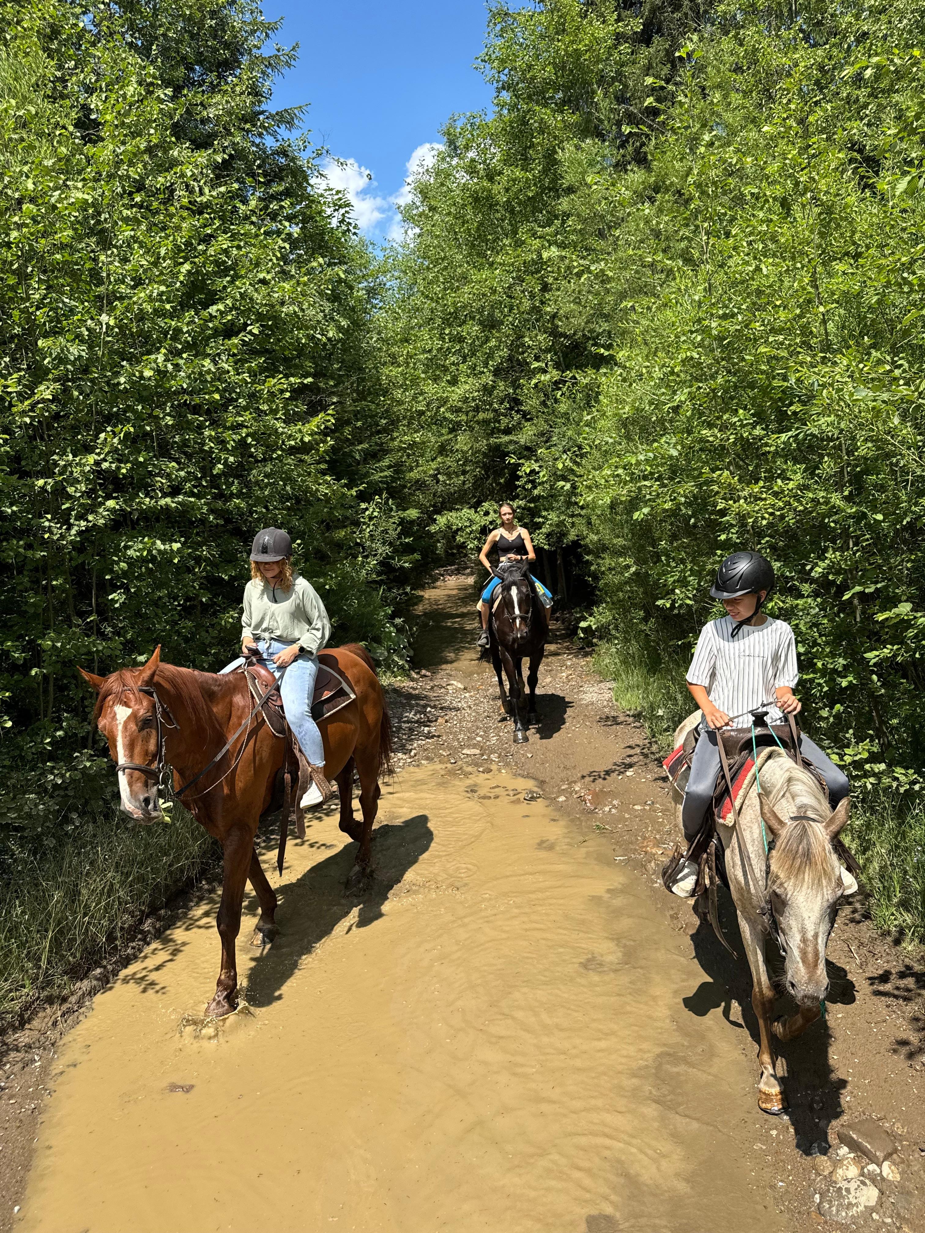 Zakopane Day Trip: Horseback Riding & Thermal Spa from Kraków