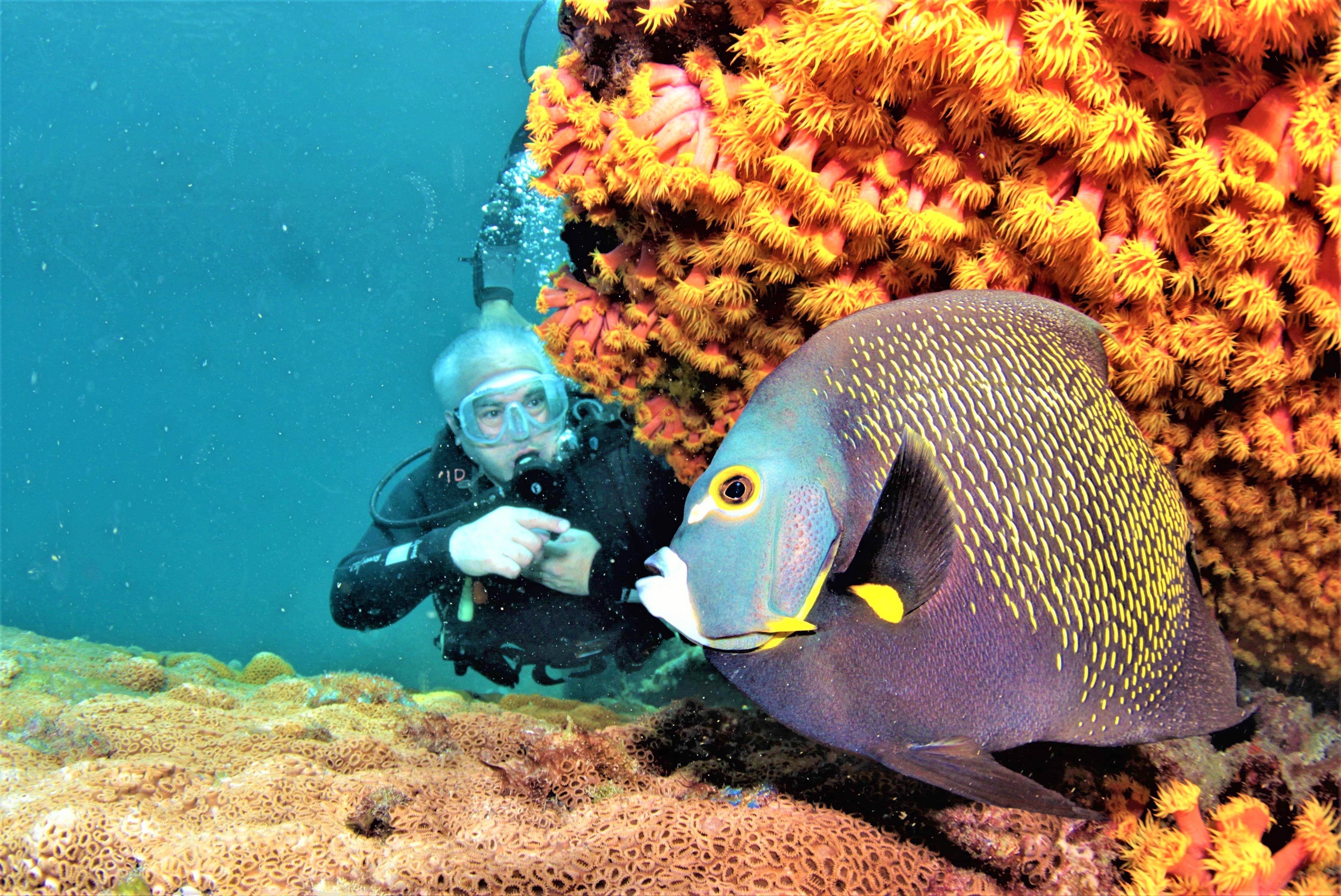 Arraial do Cabo Scuba Diving from Rio de Janeiro