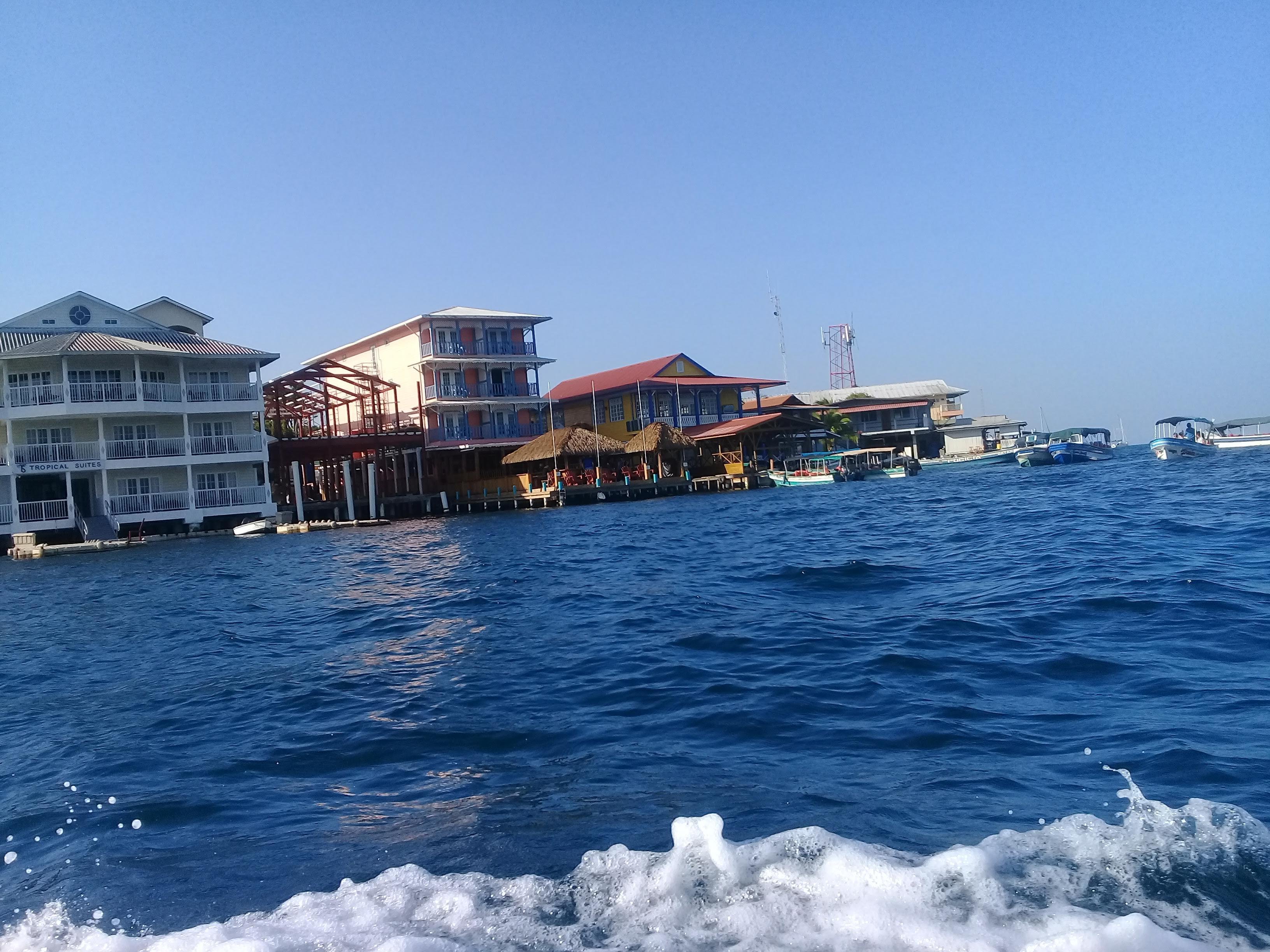 Dolphin Bay & Zapatilla Cays Island-Hopping Tour