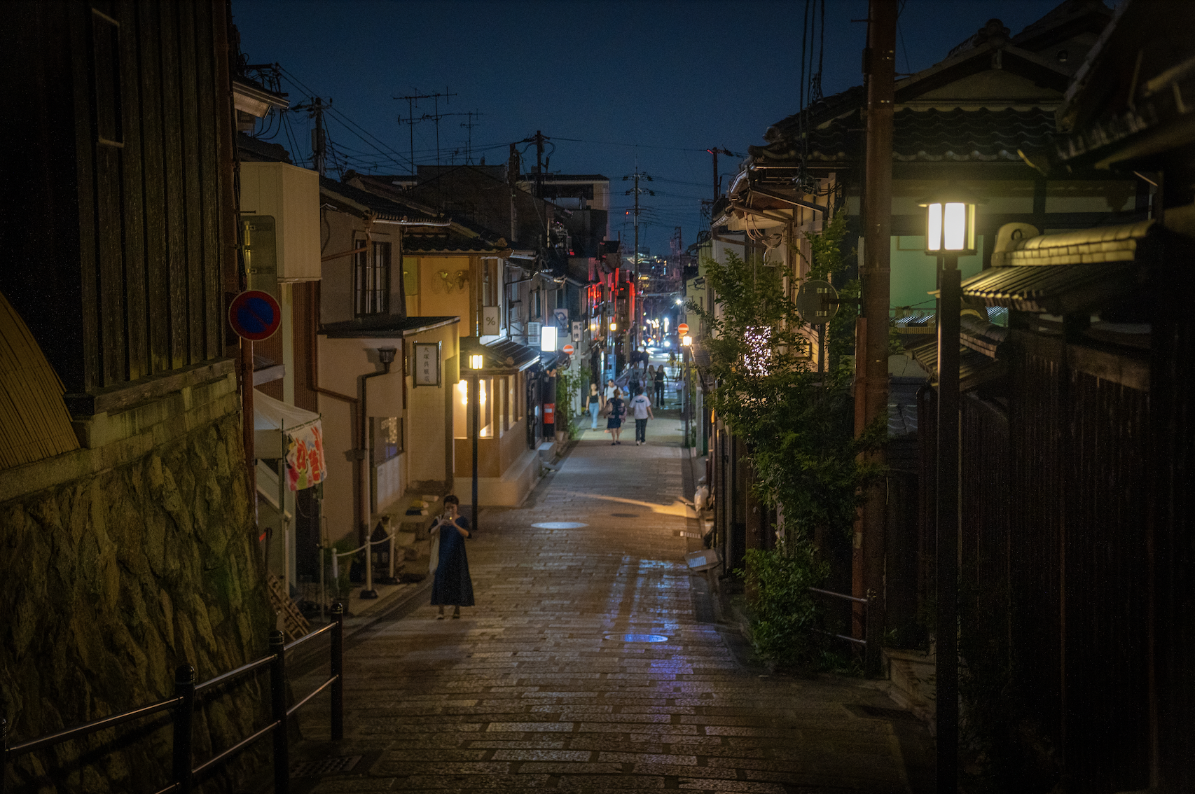 Kyoto Gion & Pontocho Evening Food & Culture Tour