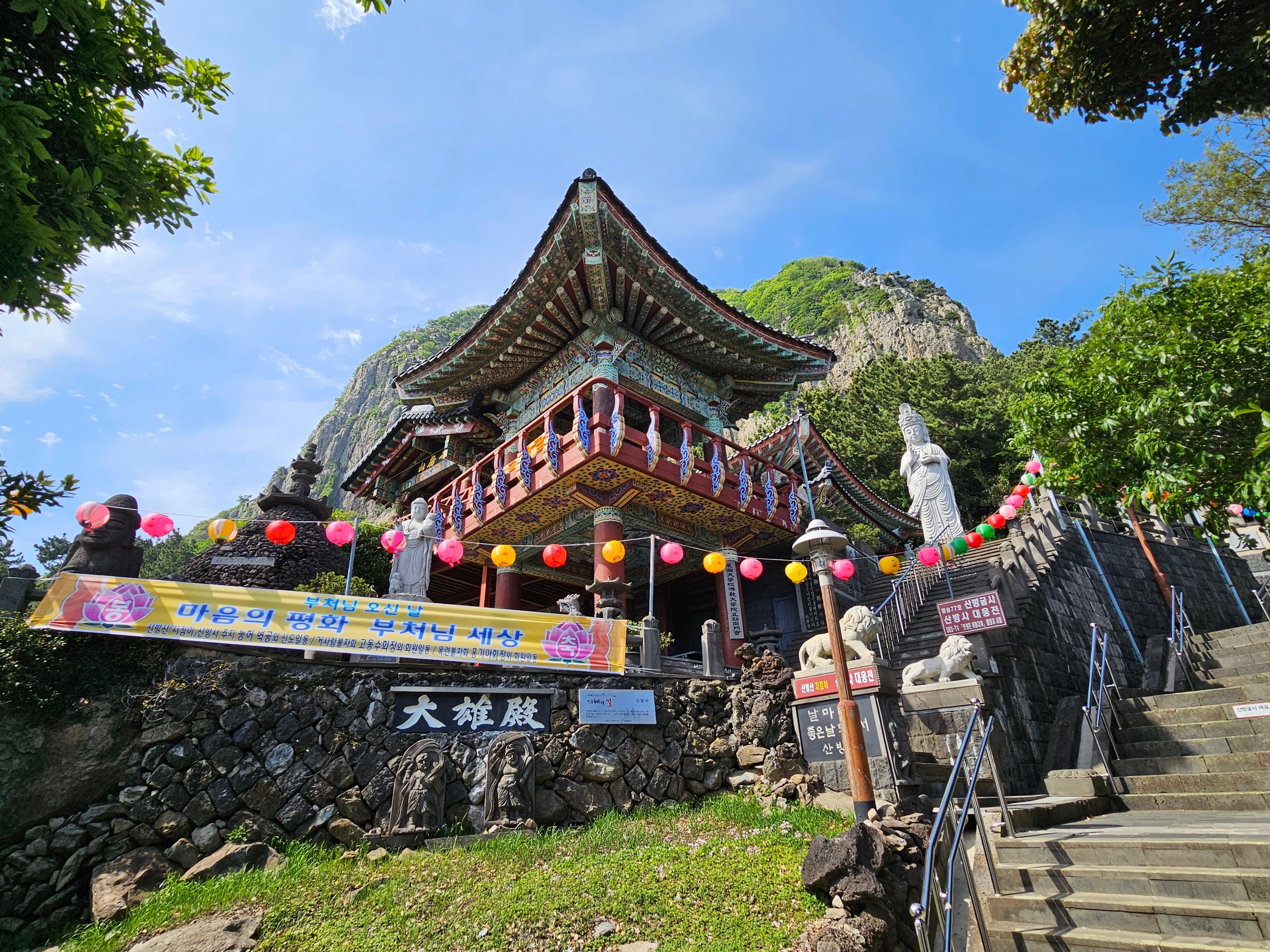 Jeju private car charter — image 12