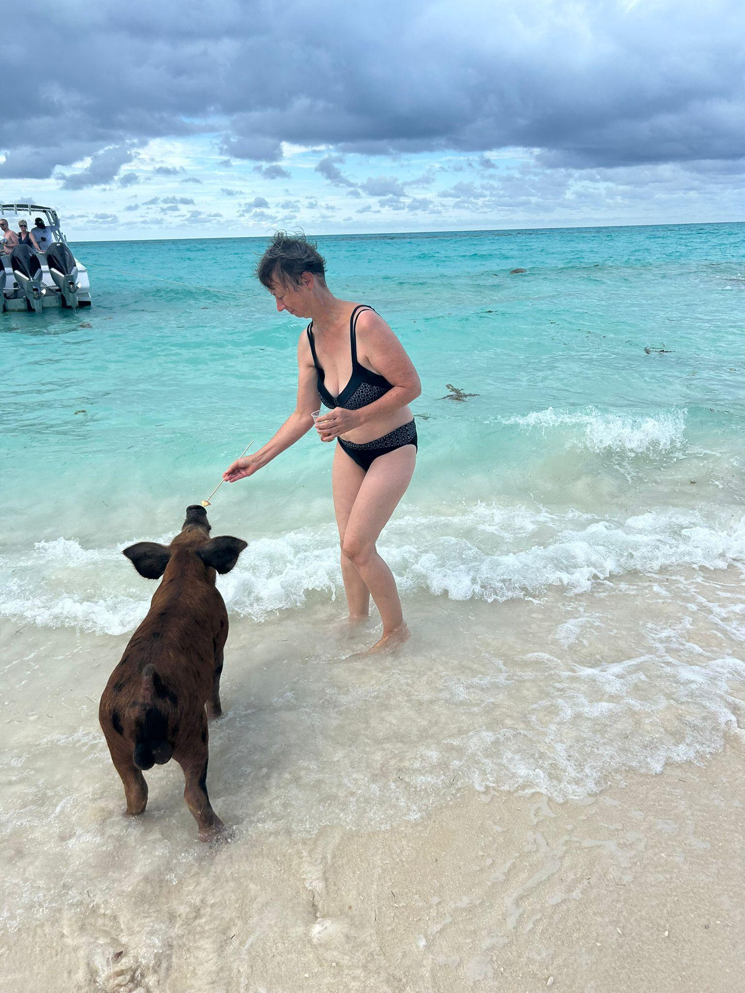Nassau 3-Island Speedboat Adventure: Pigs, Turtles & Snorkeling
