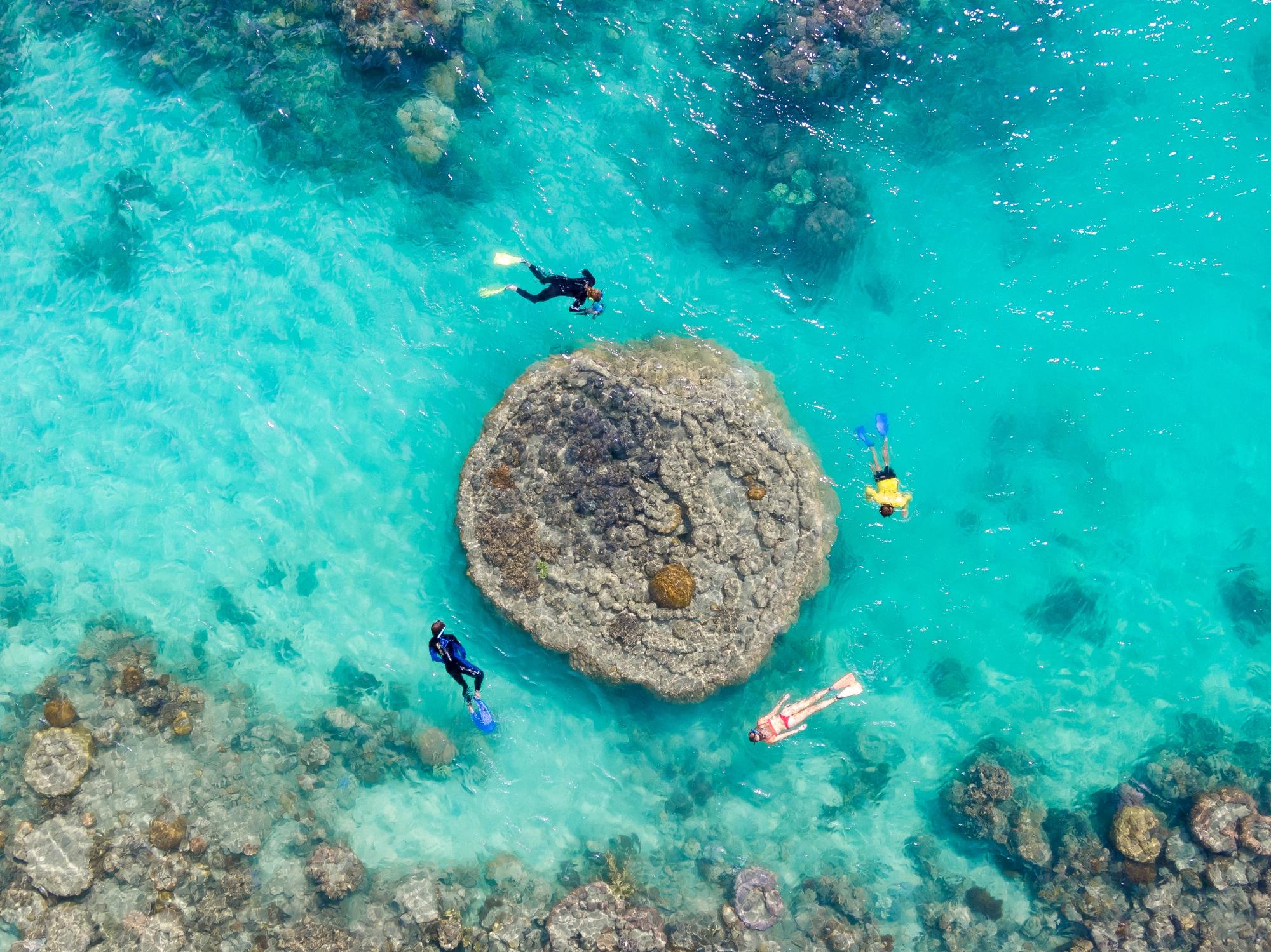 Half-Day Whitsunday Reef & Snorkel Adventure