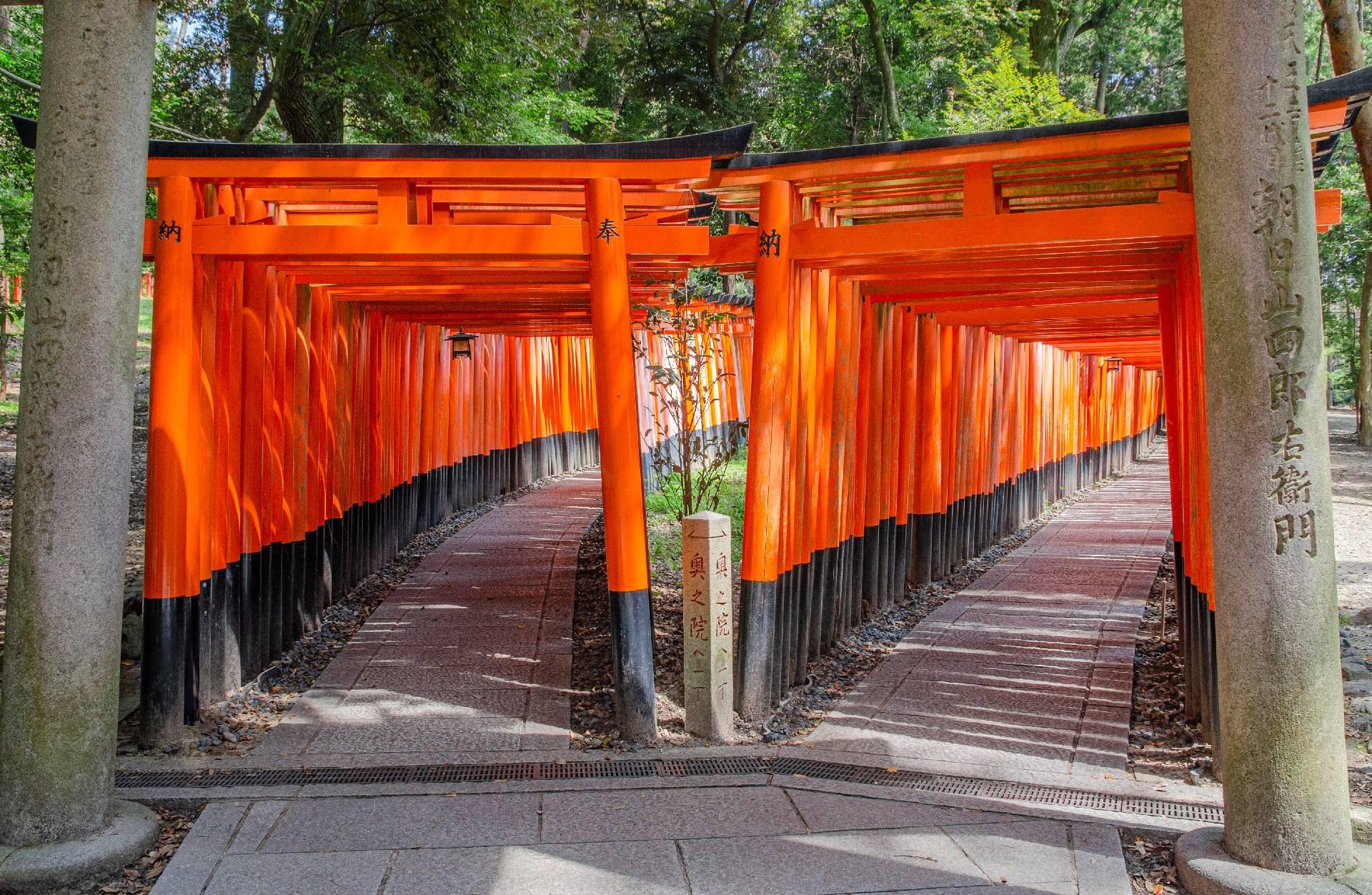 Kyoto & Arashiyama Cultural Explorer Day Trip
