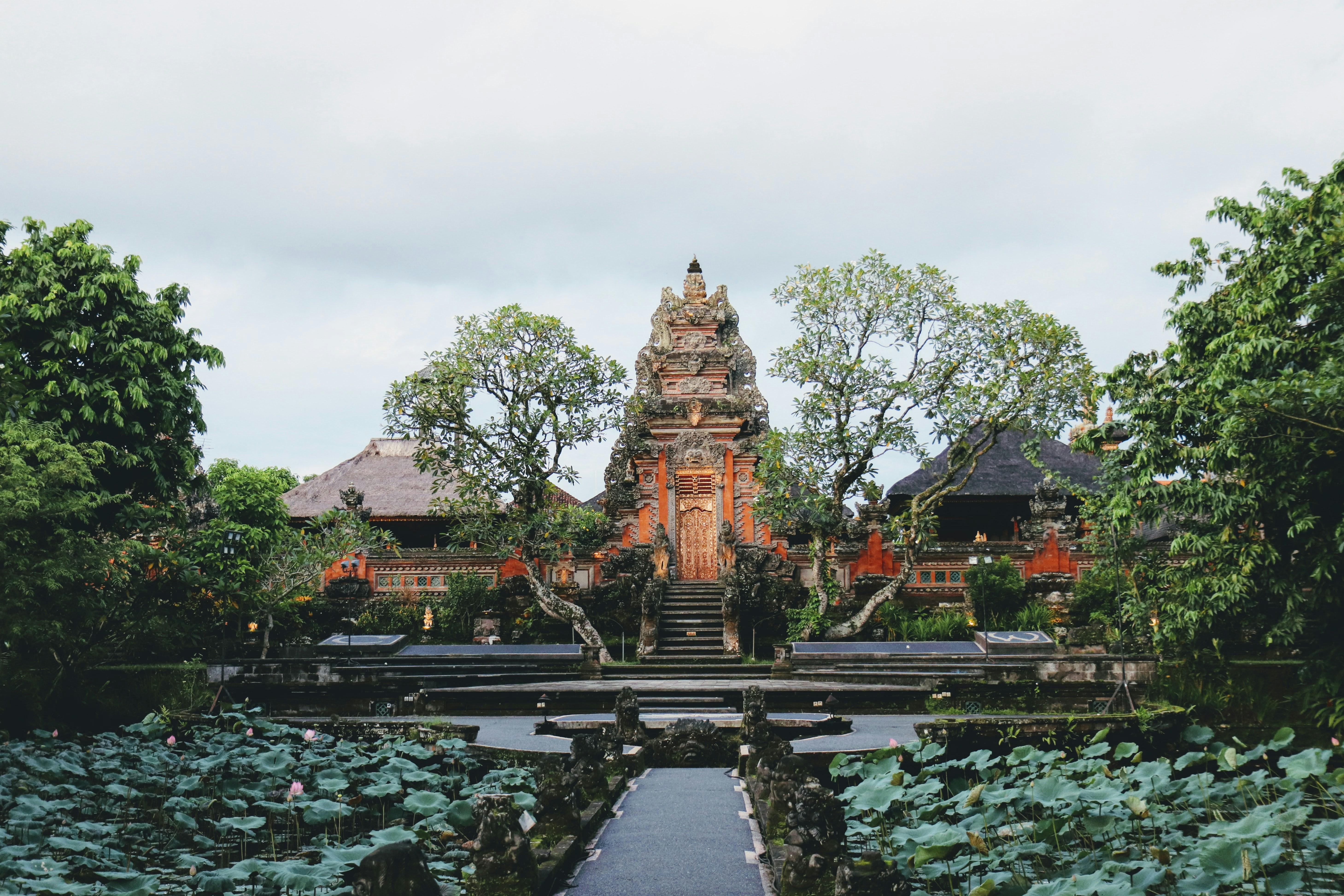 Ubud Purification, Rice Terraces & Temple Private Tour