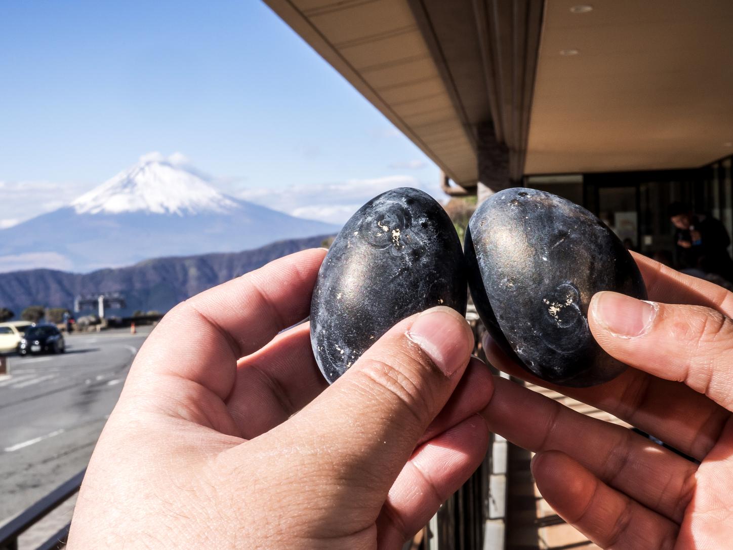 Tokyo to Mt. Fuji & Hakone: Private Full-Day Tour with English Driver