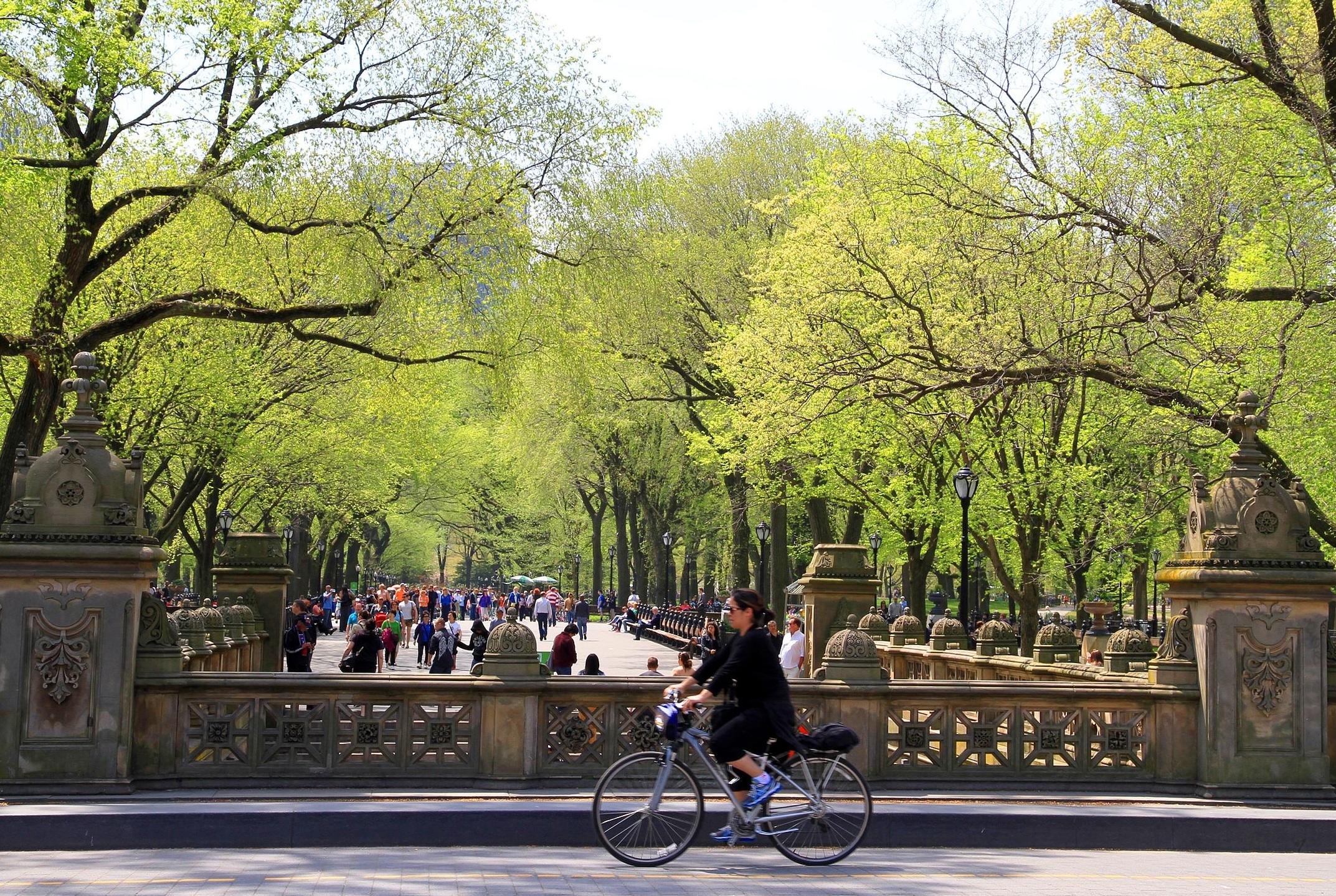 Private Central Park Pedicab Sightseeing Tour