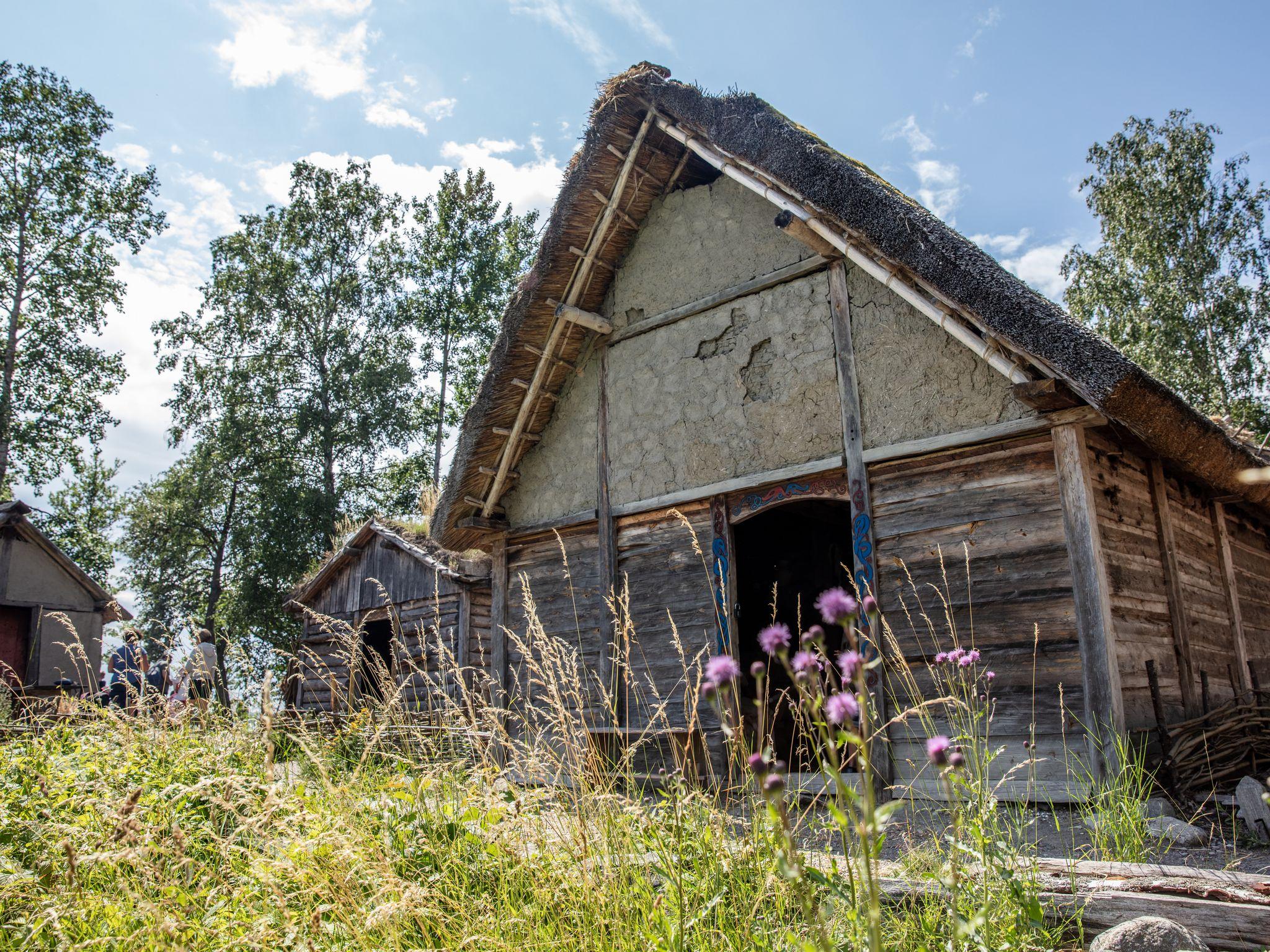 Birka Viking Settlement Day Trip from Stockholm
