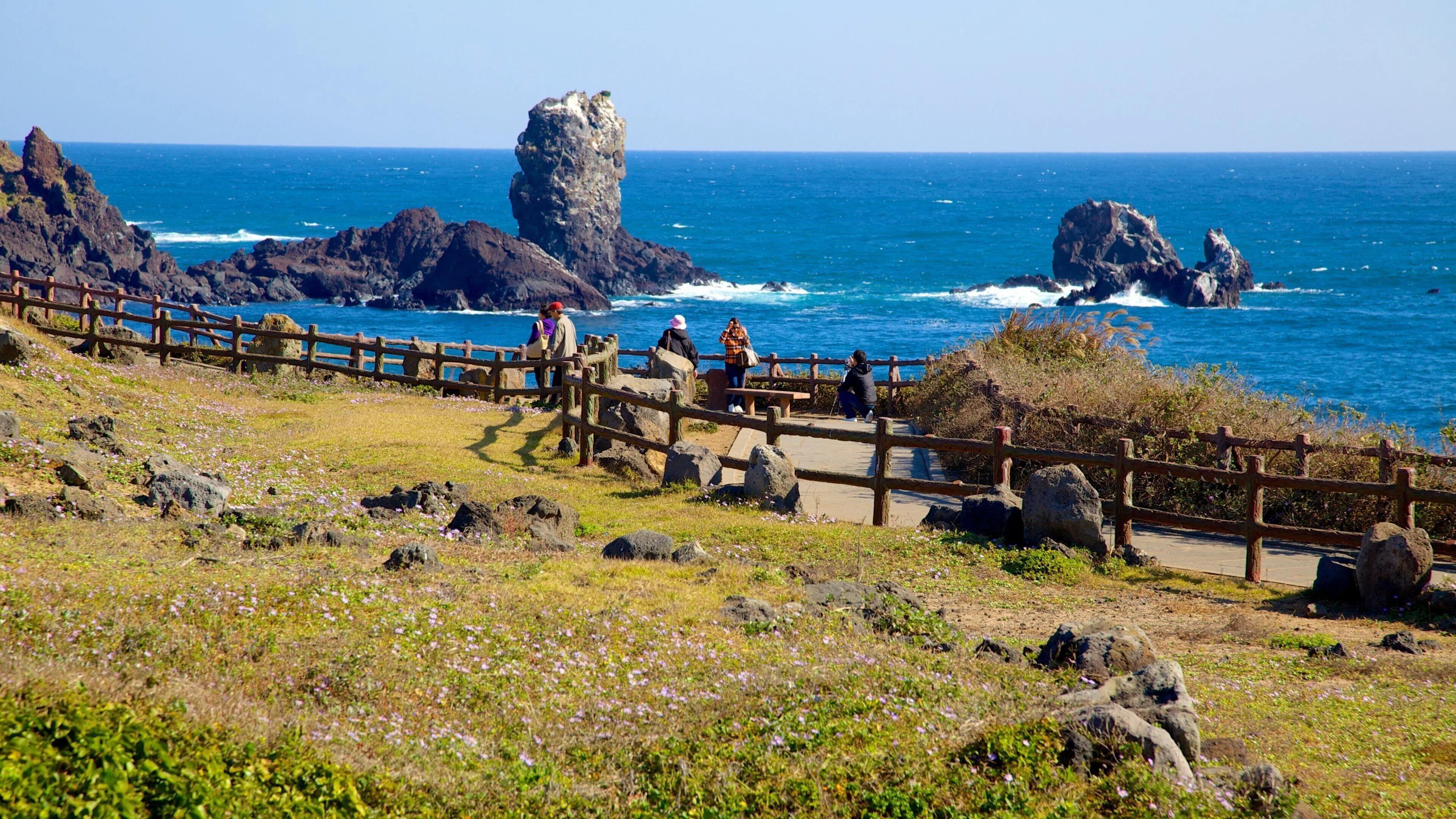 Jeju private car charter — image 8
