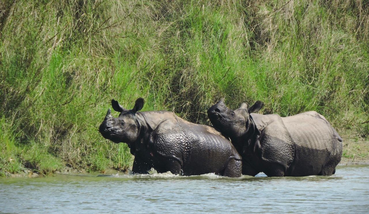 Bardia National Park: 3-Night Bengal Tiger Safari