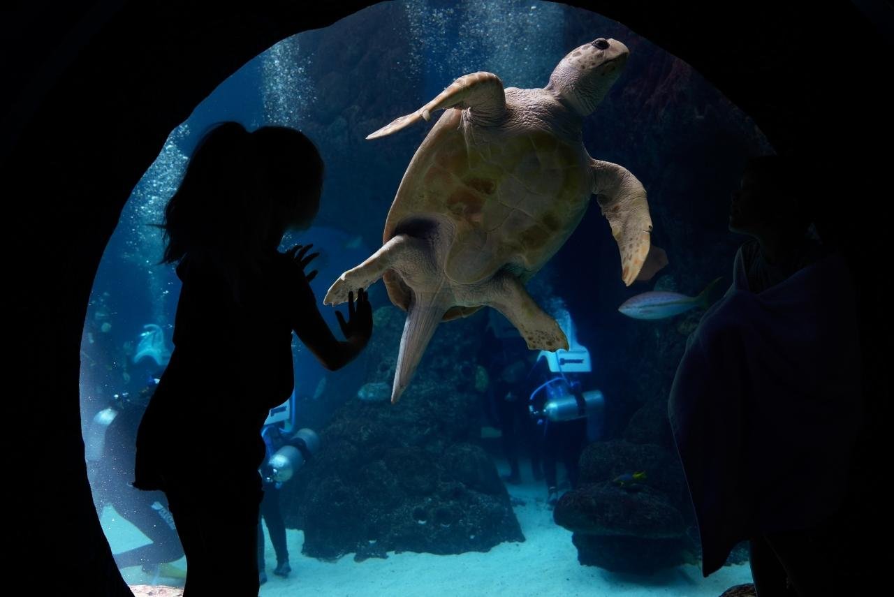 The Florida Aquarium General Admission