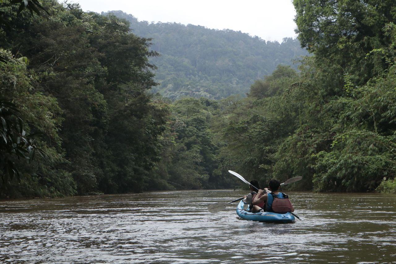 Rainforest Kayaking to Arang Piin Trusan Waterfall