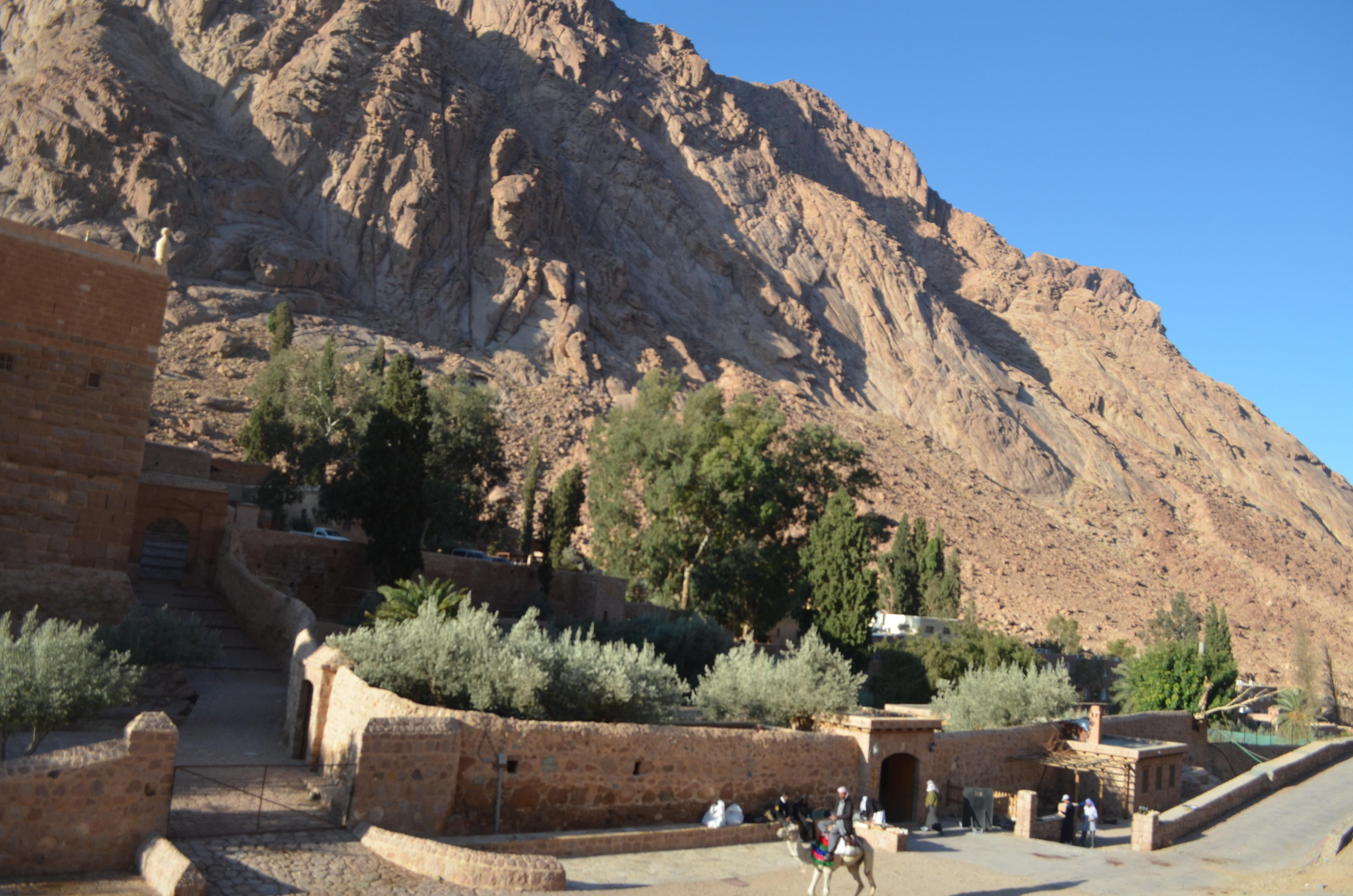 Sharm El Sheikh: Private Day Tour to Saint Catherine's Monastery
