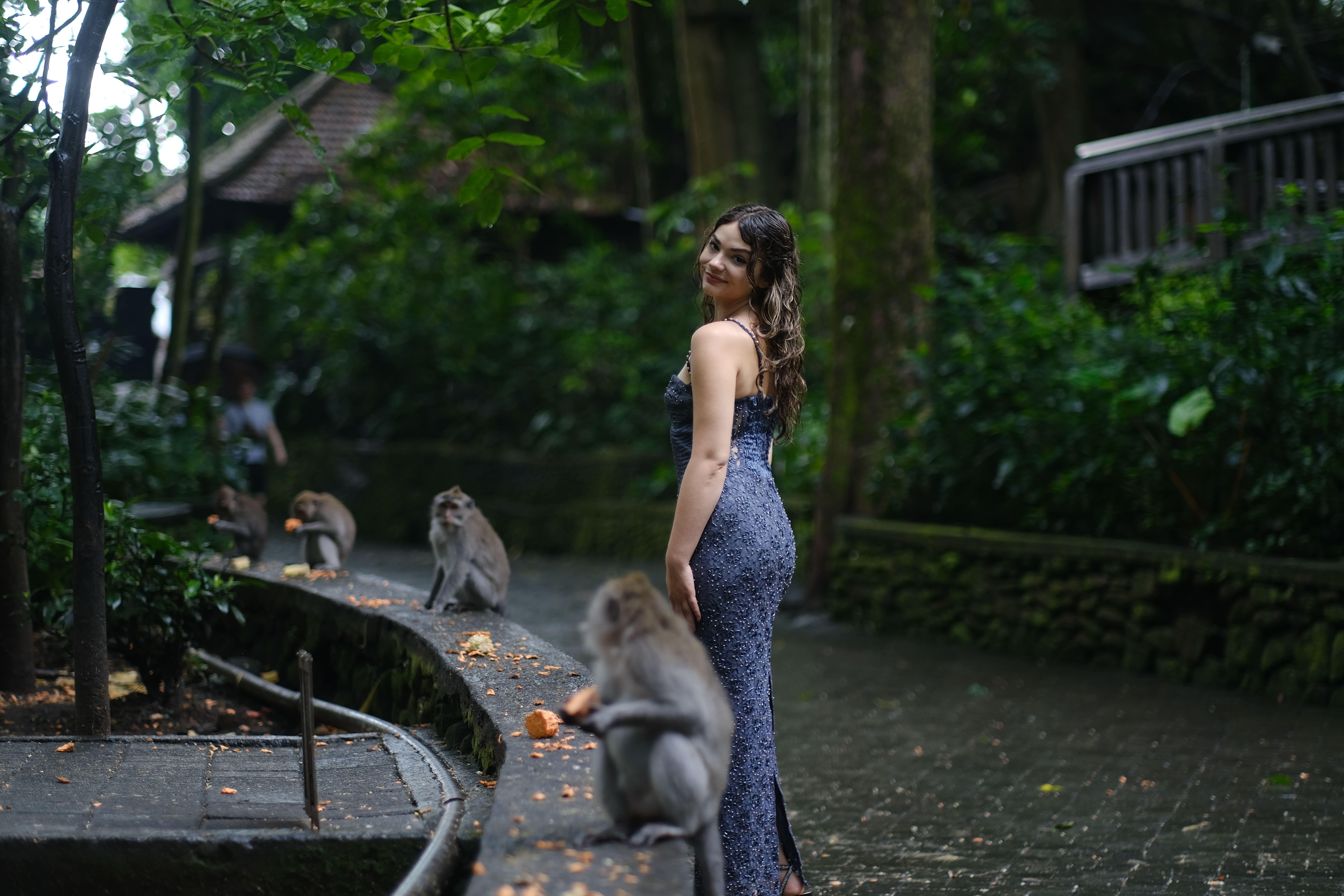 Bali Highlights: Ubud Waterfalls, Monkey Forest & Rice Terraces