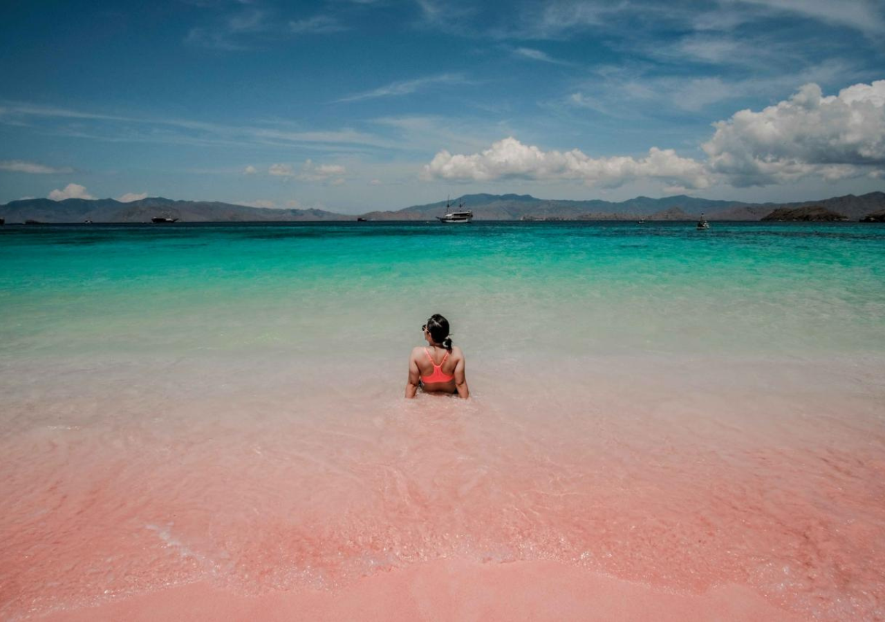 Komodo Island 3-Day Private Speedboat Adventure with Hotel