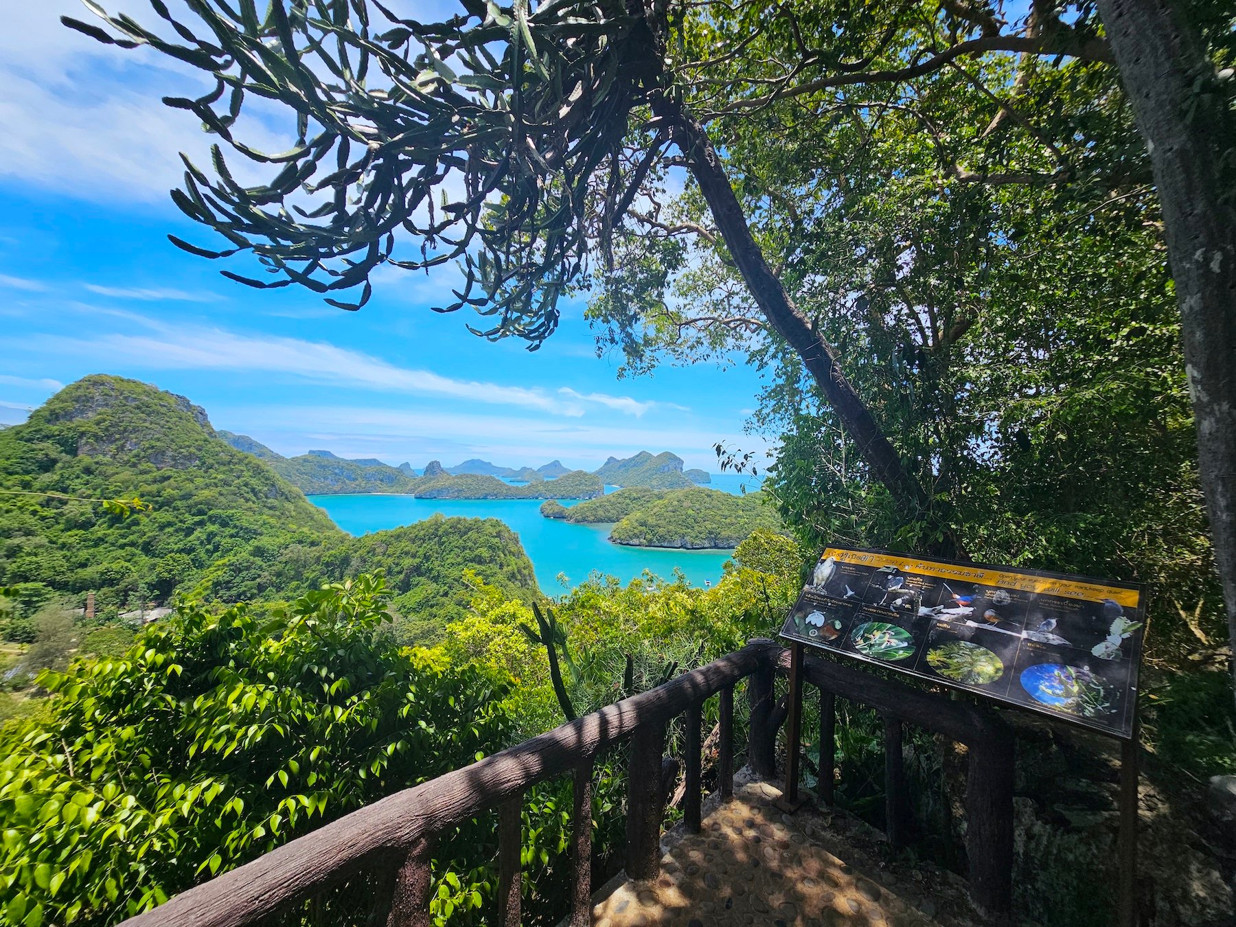 Ang Thong Marine Park Speedboat Adventure from Koh Samui