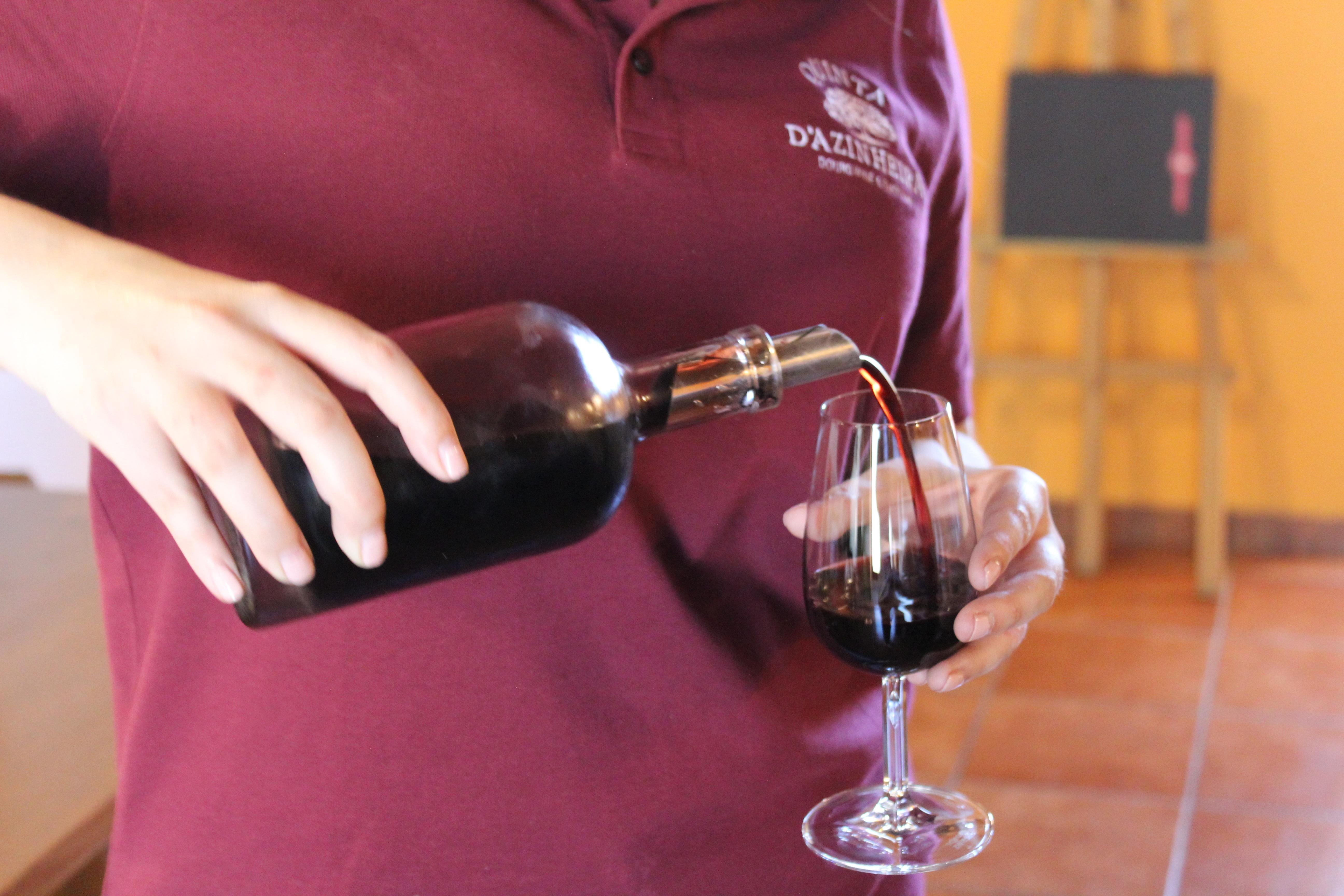 Douro Valley Wine & Cruise Day Trip from Porto