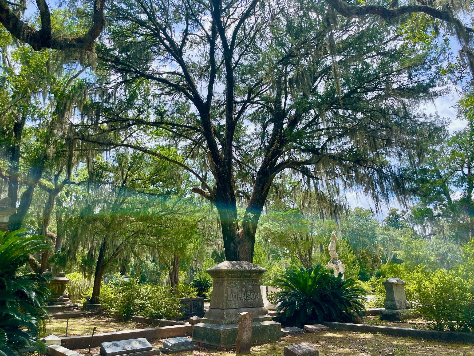 Bonaventure Cemetery Guided Golf Cart Tour