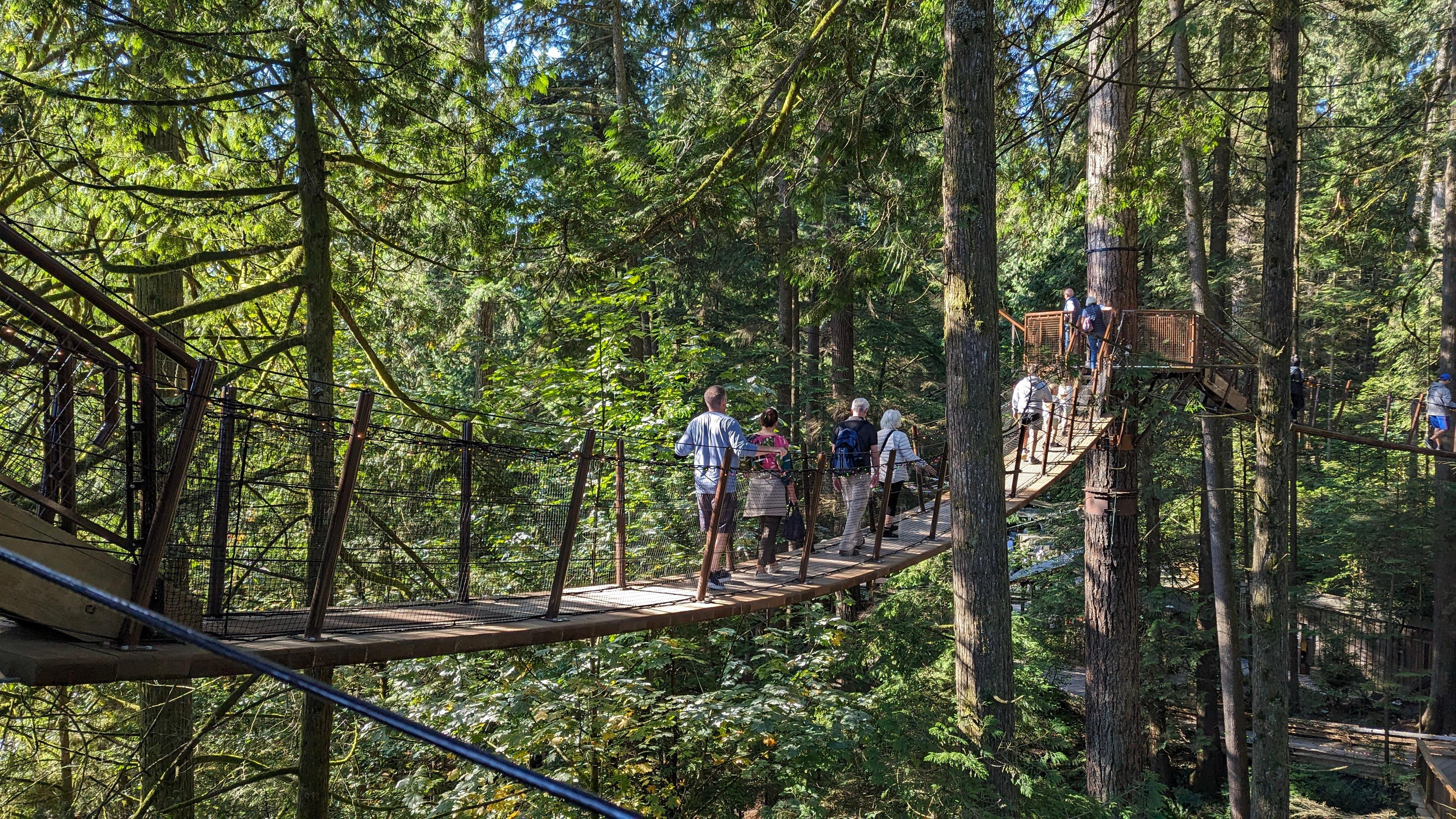 Vancouver Highlights: Private Capilano & Granville Island Tour