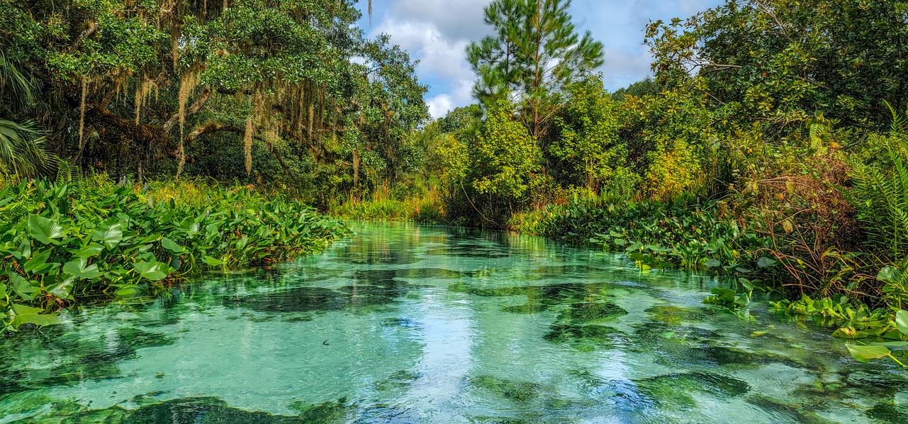 Emerald Cut Kayak Tour on Rock Springs Run