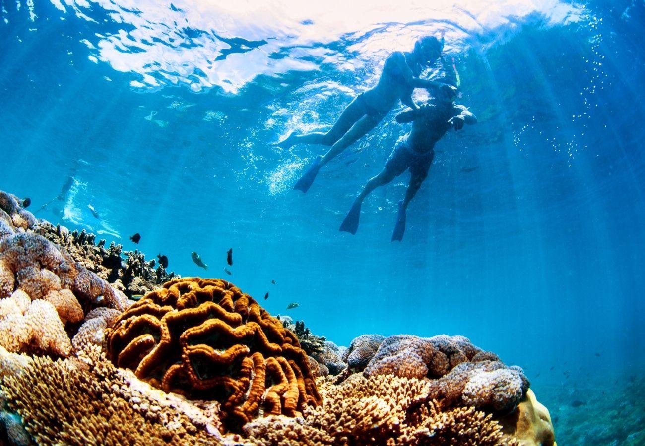 Nusa Lembongan Reef Cruise with Water Activities