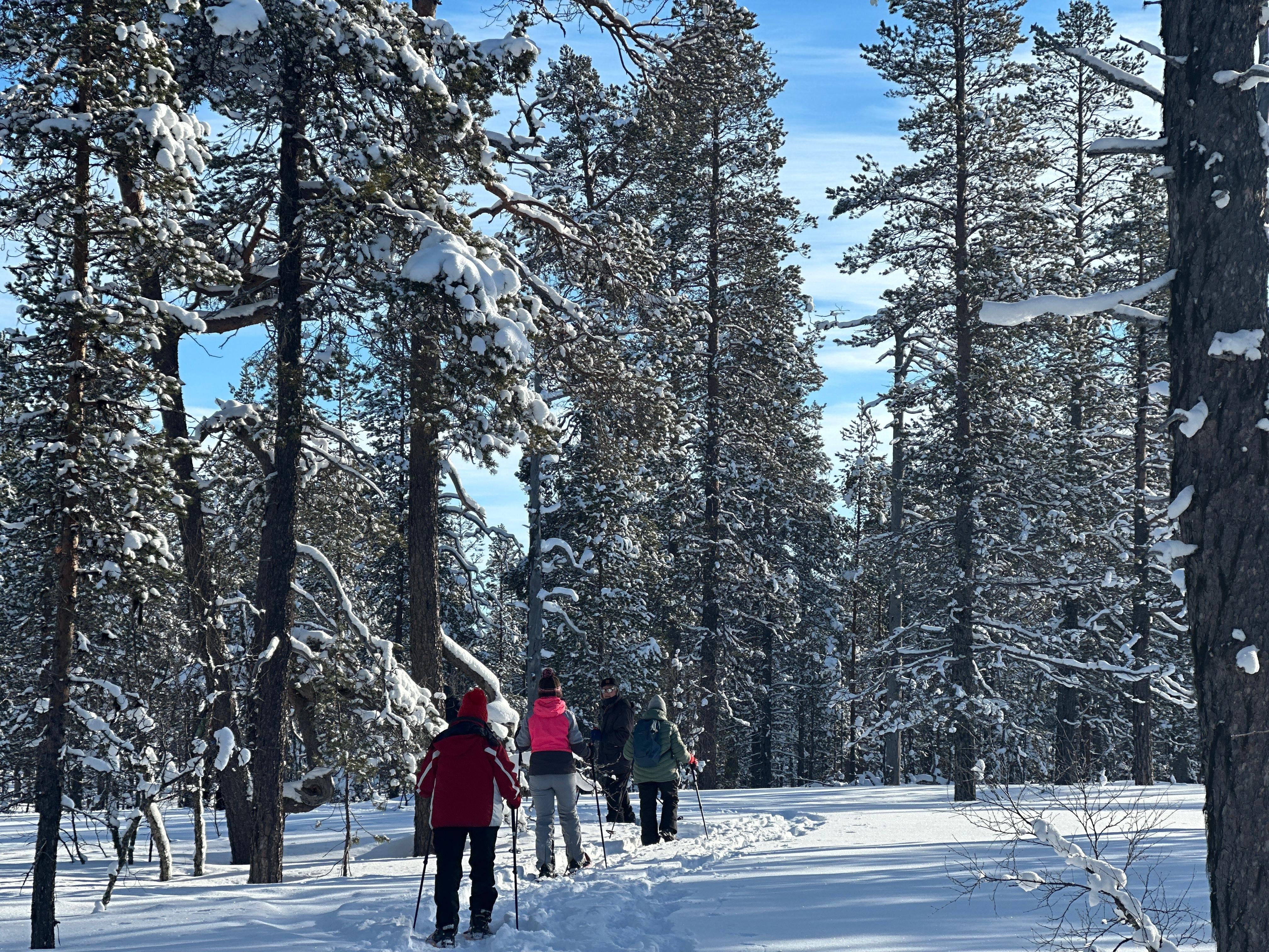 Arctic Snowshoe Trek with Local Guide