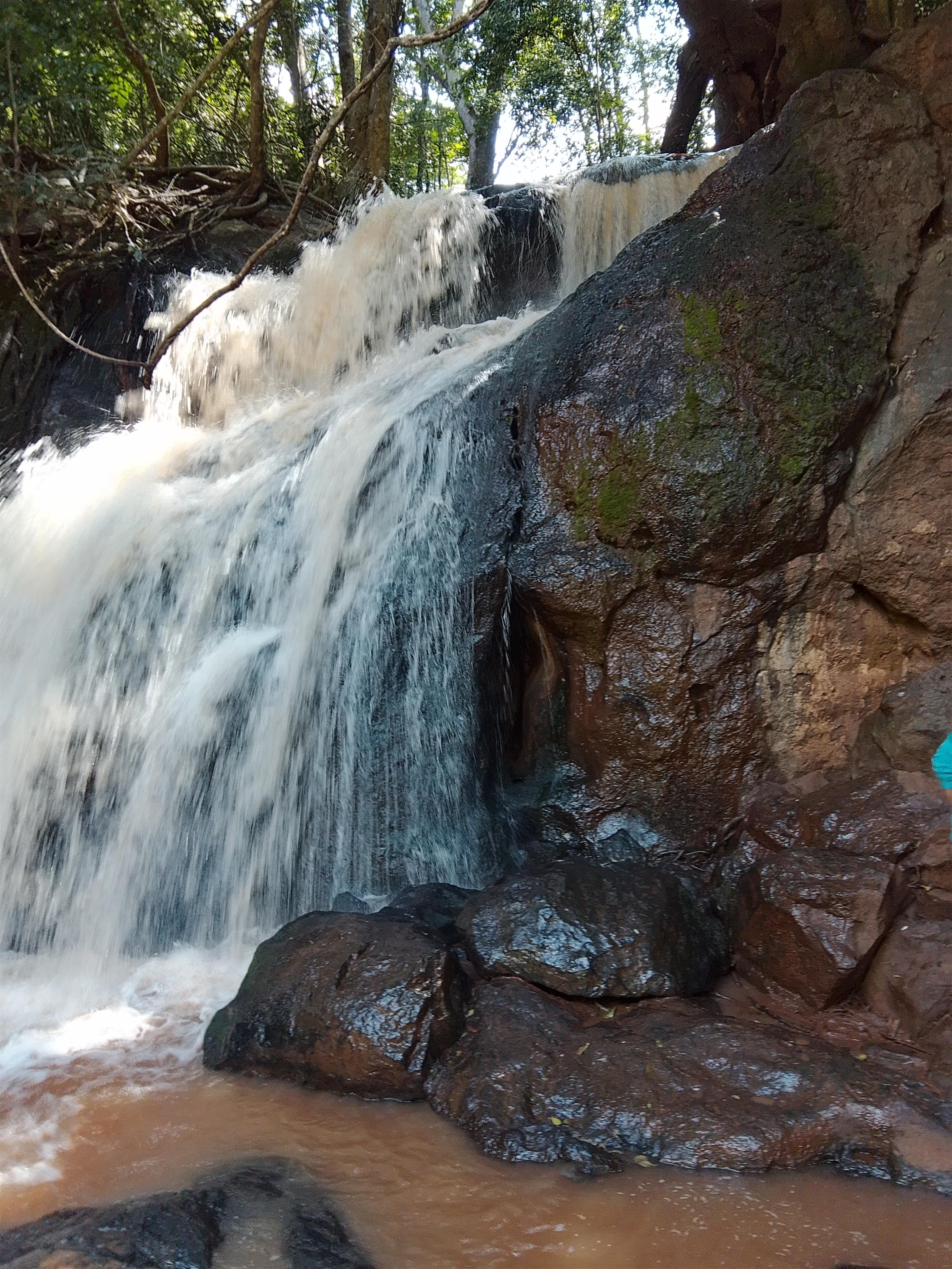 Karura Forest: Immersive Nature & History Walking Tour
