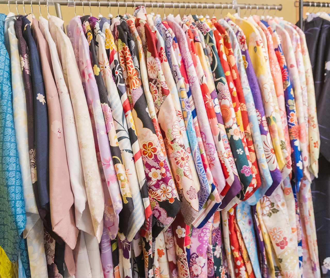 Shinjuku Gyoen Kimono Rental Experience