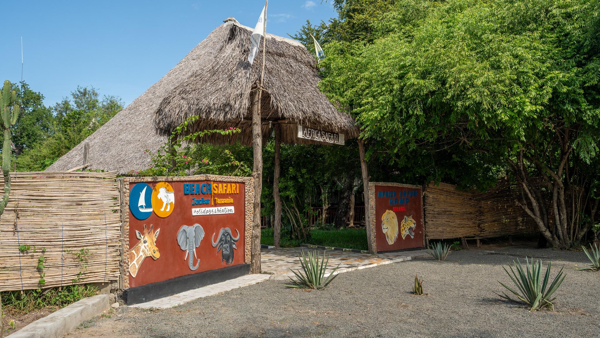 Zanzibar to Selous: 2-Day Safari with Flights & Bush Lunch