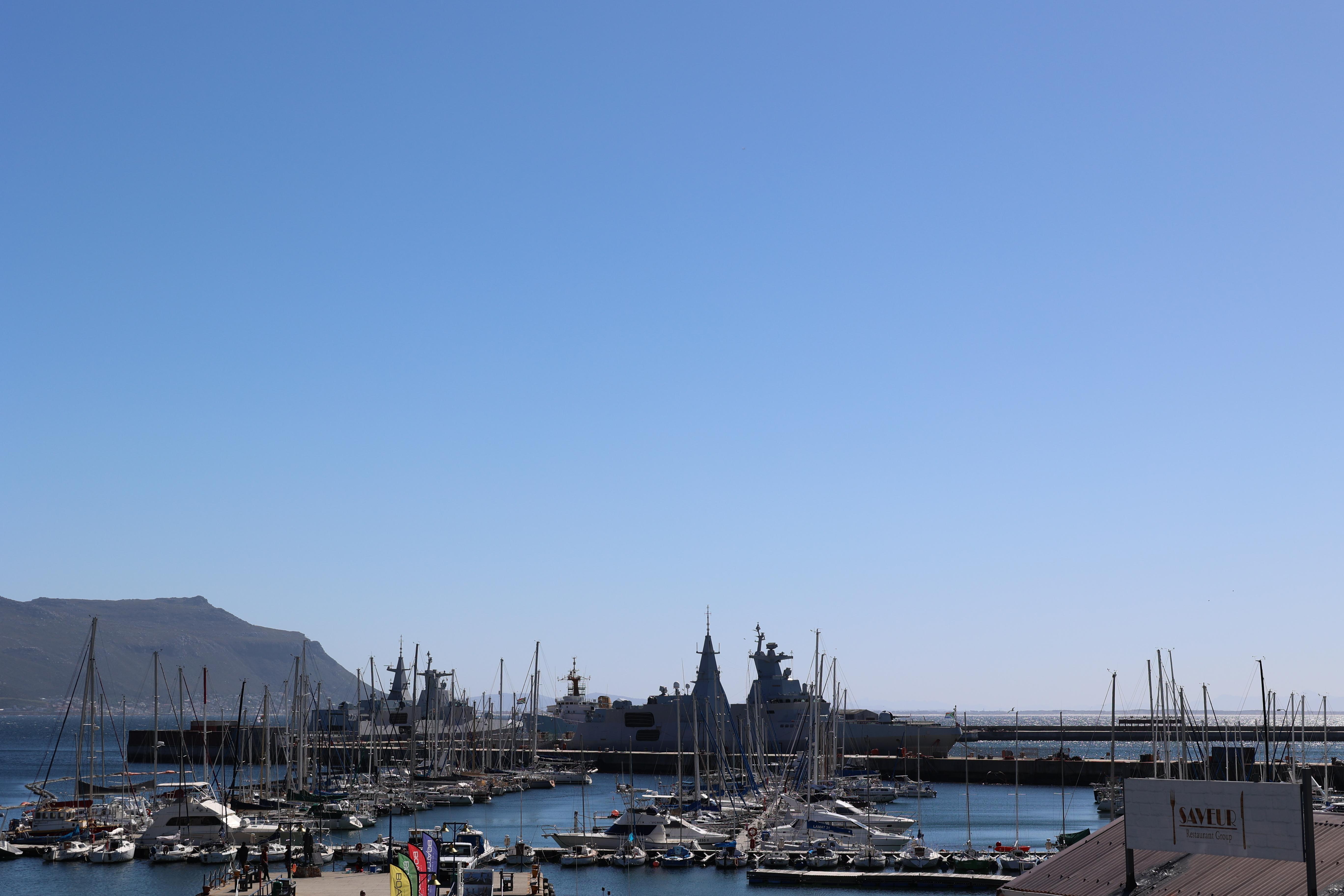 Cape Town: Boulders Beach Penguin Colony Half-Day Tour