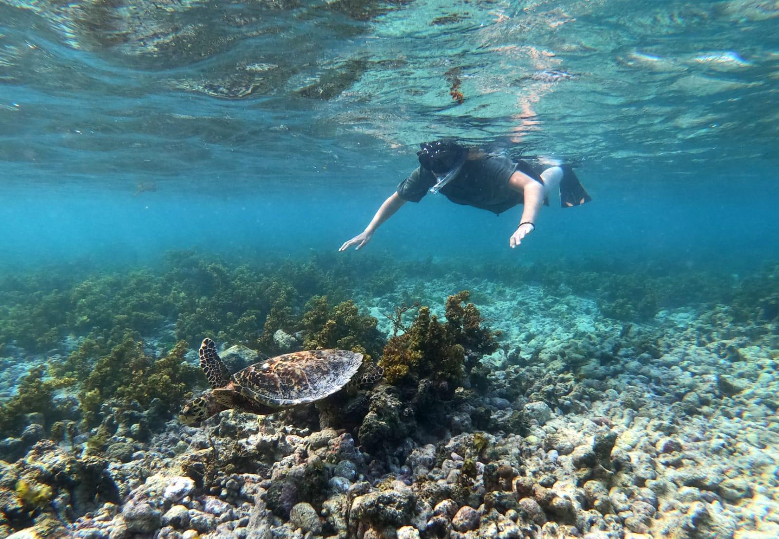 Cocos, Félicité & La Digue Snorkeling Island Safari