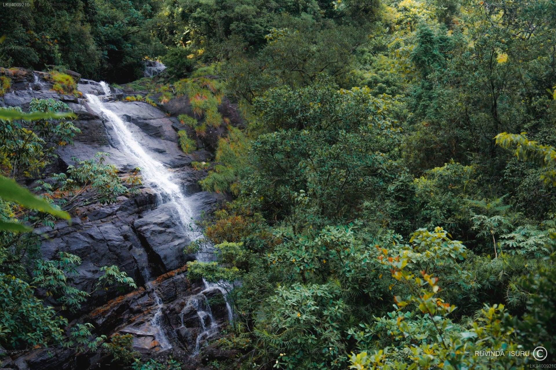 Knuckles Mountain Range Trek with Waterfalls & Village Experience