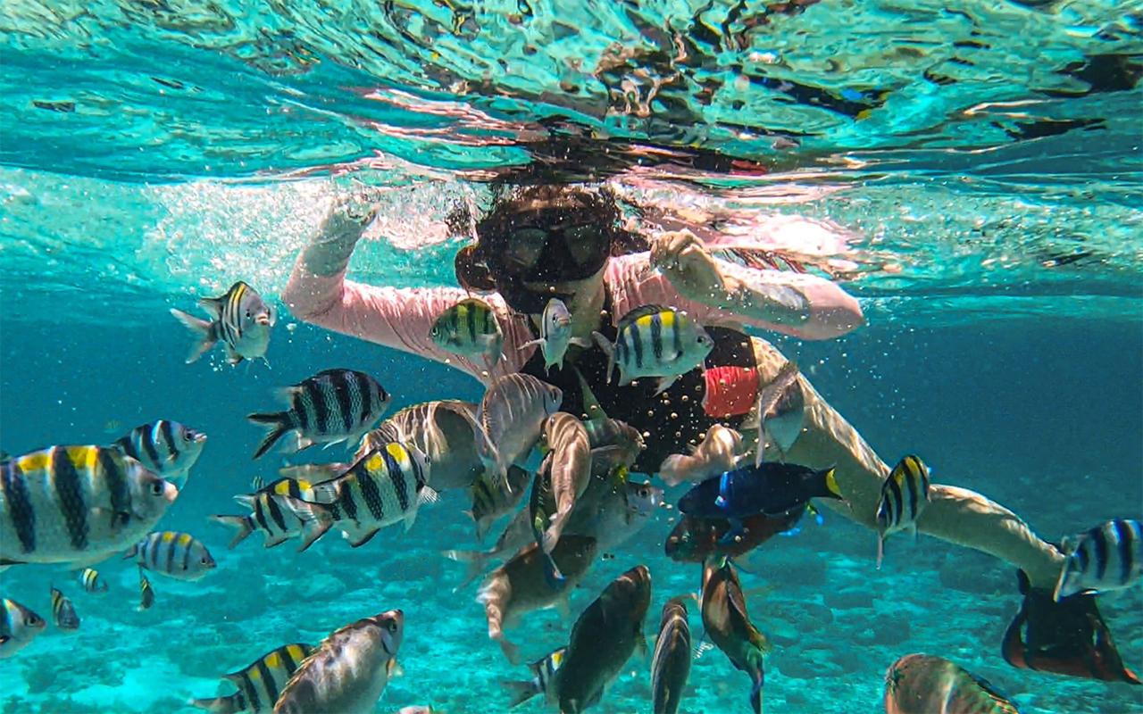 Cebu Private Mactan Island Hopping with Lunch