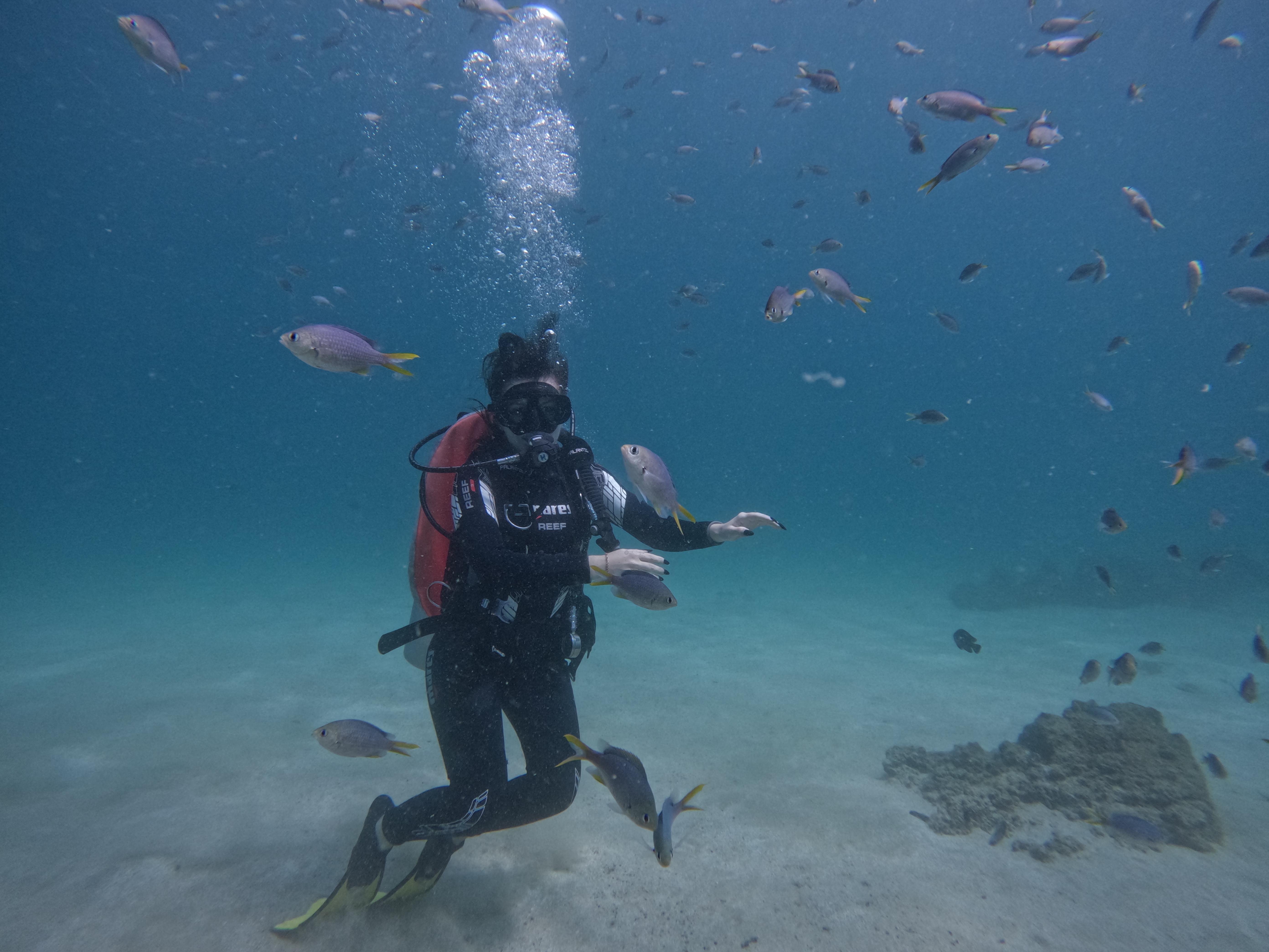 Dubai to Fujairah Scuba Diving & Snorkeling Adventure