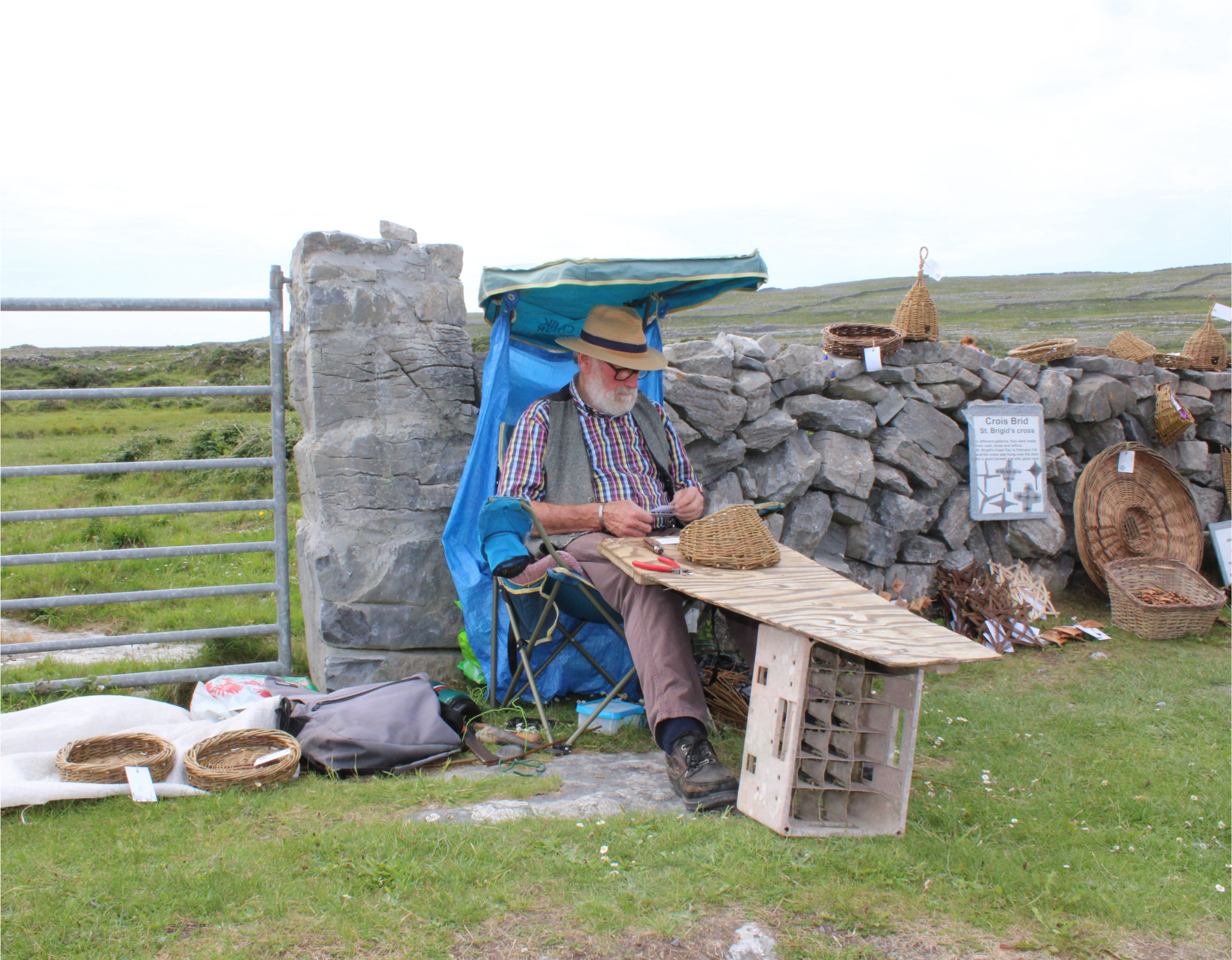 Cliffs of Moher Boat Tour — image 5