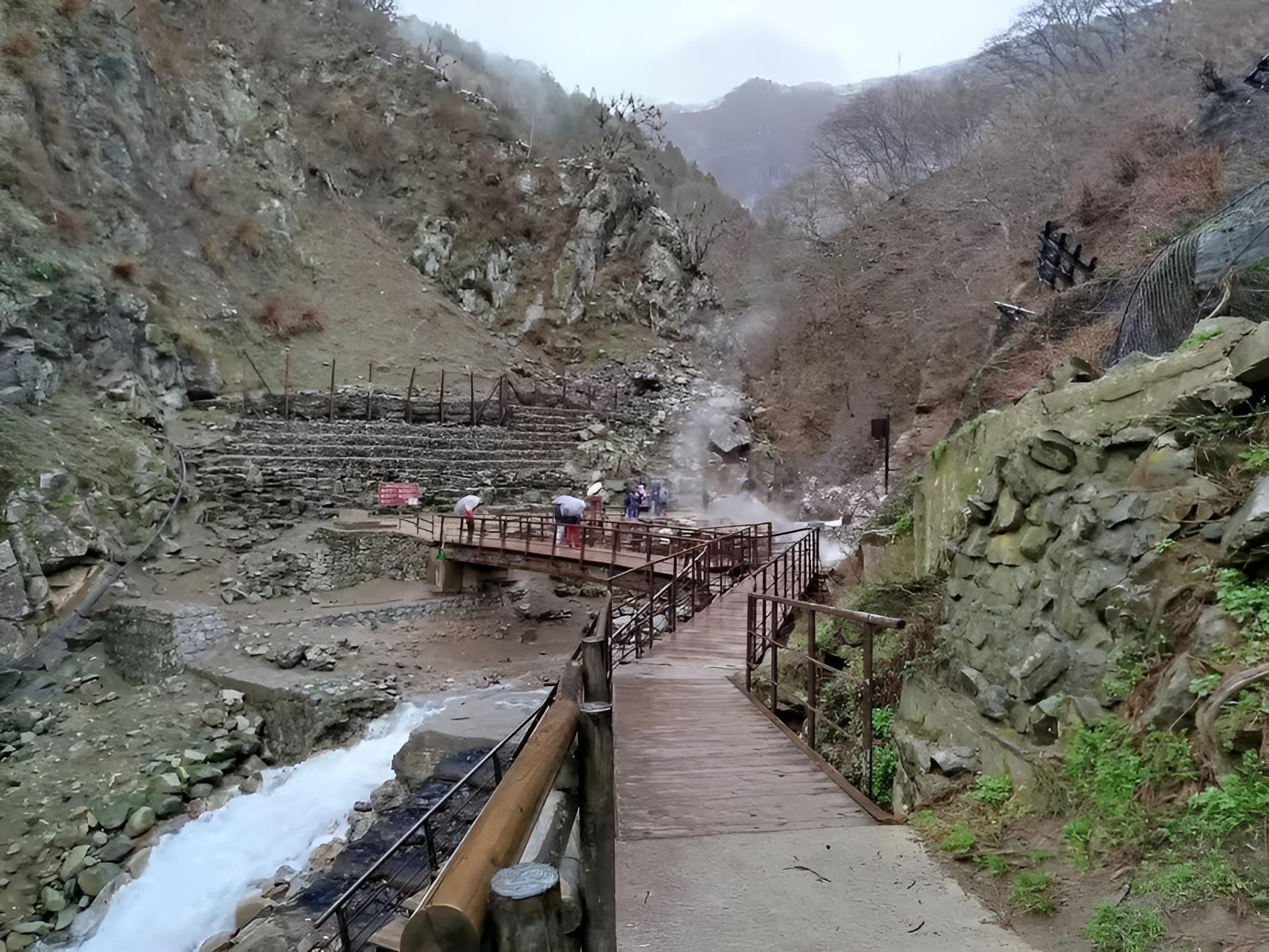 Tokyo to Nagano: Private Snow Monkeys & Zenko-ji Day Trip