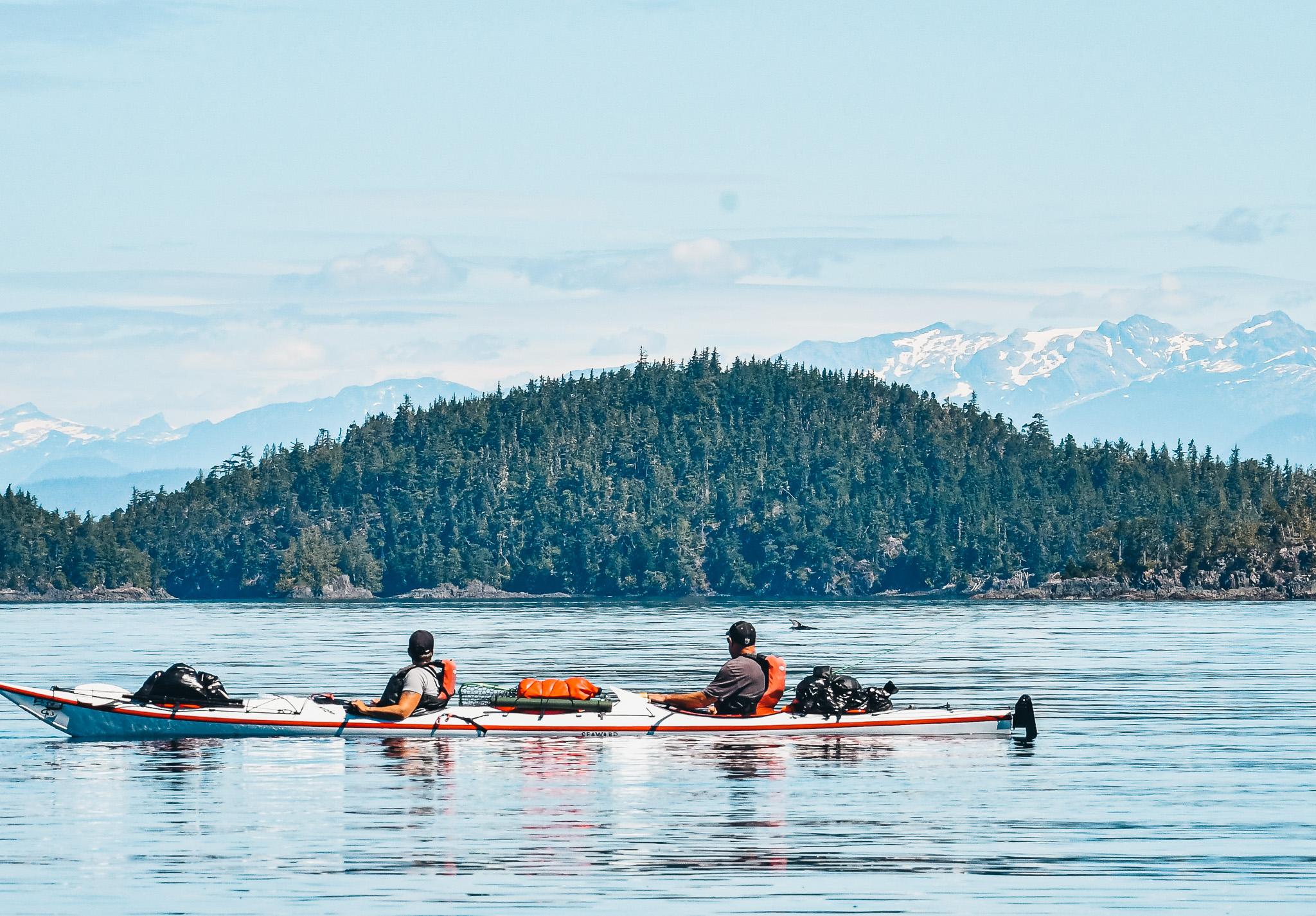 Telegraph Cove Kayaking Adventure