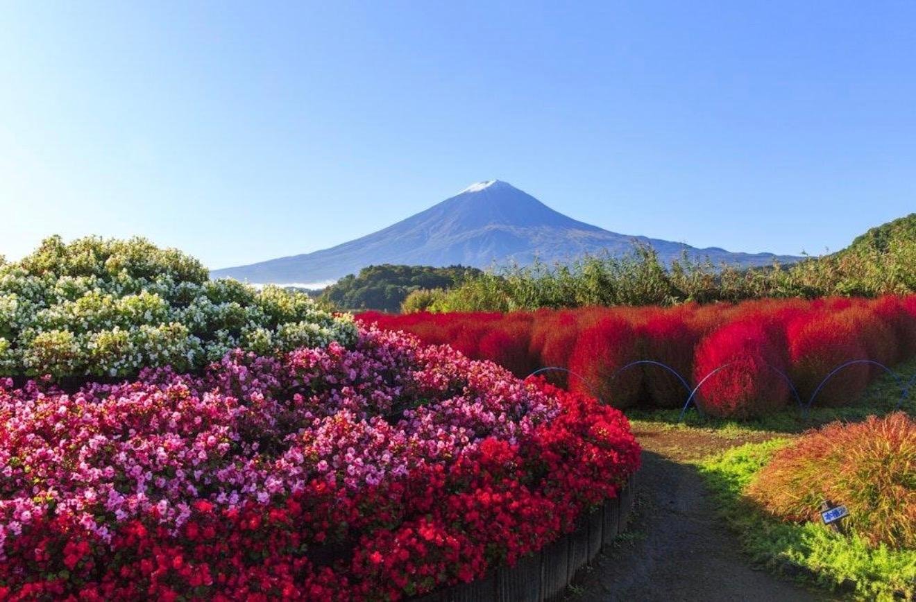 Customizable Mount Fuji Private Day Trip from Tokyo
