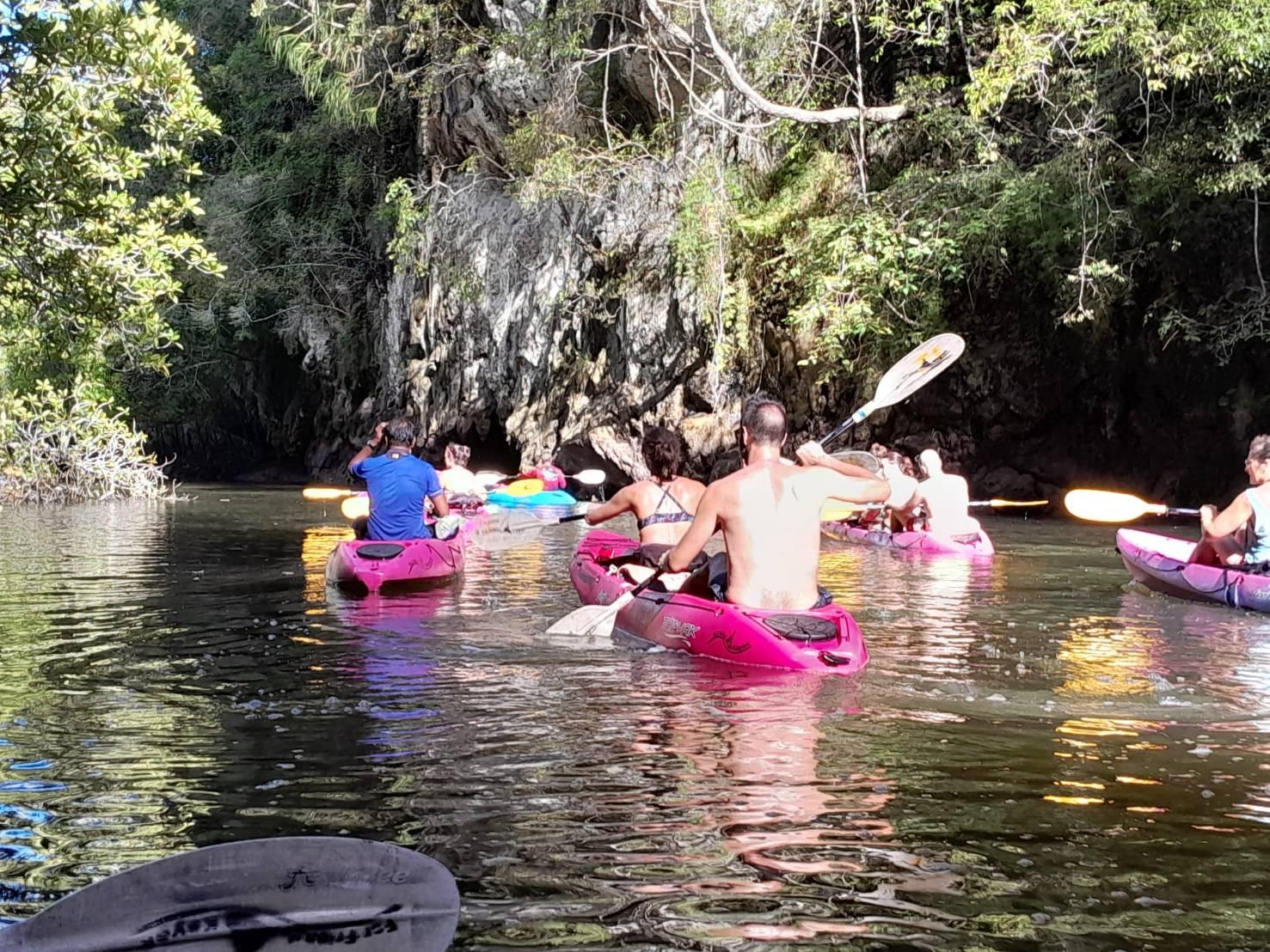 Krabi Ao Thalane Half-Day Mangrove Kayak Tour
