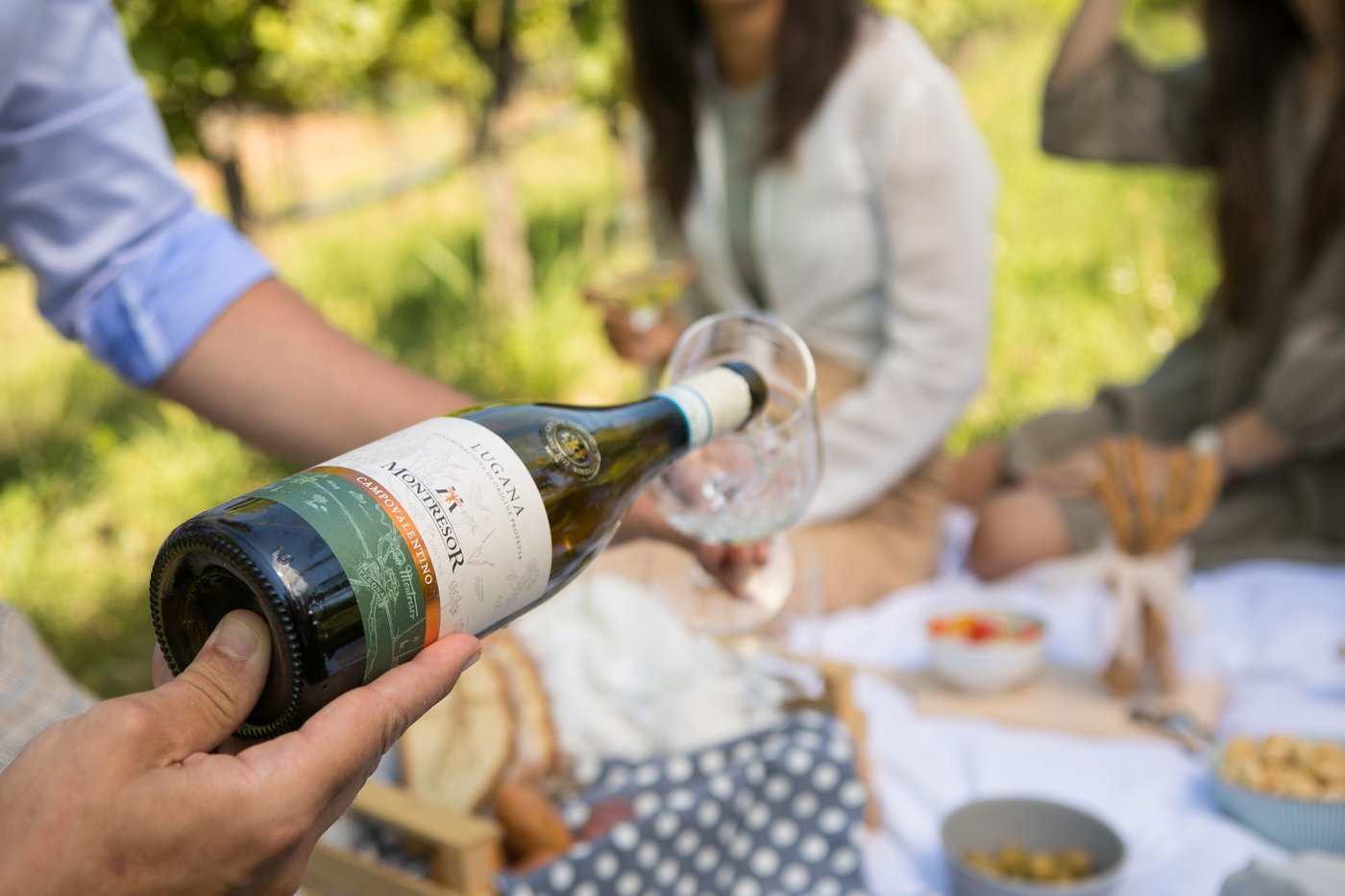 Bardolino Wine Tasting Experience with Cellar Tour