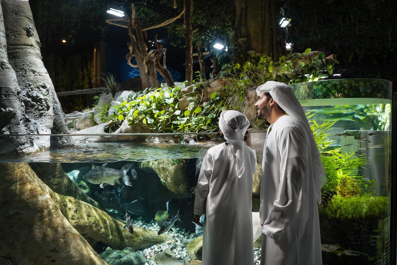 Dubai Aquarium & Underwater Zoo Exploration