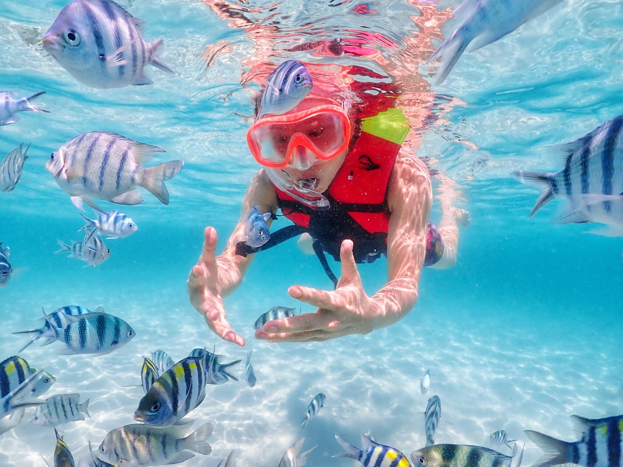 Nemo Island Snorkeling Excursion from Pattaya