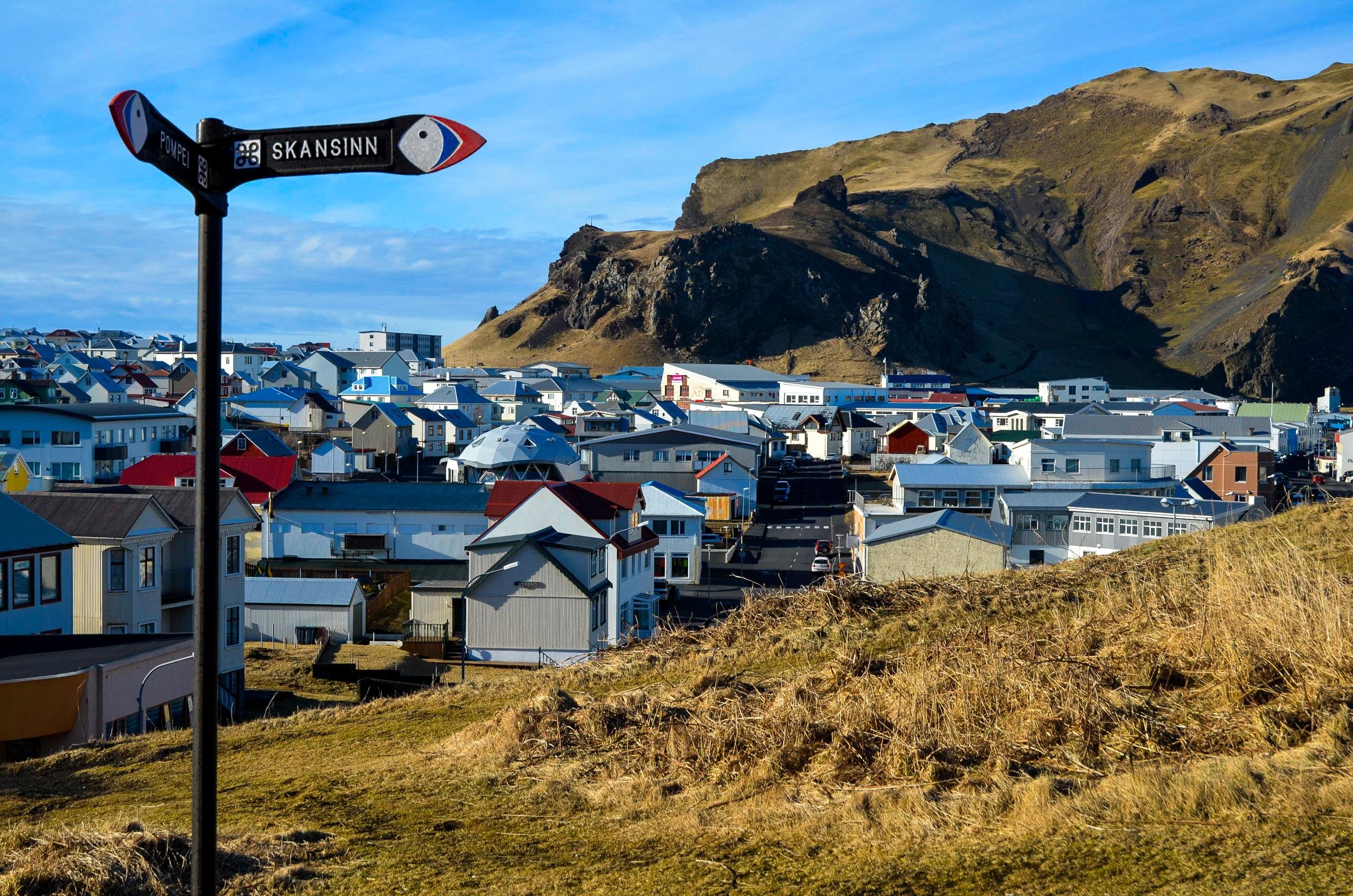 Private Westman Islands Full-Day Expedition