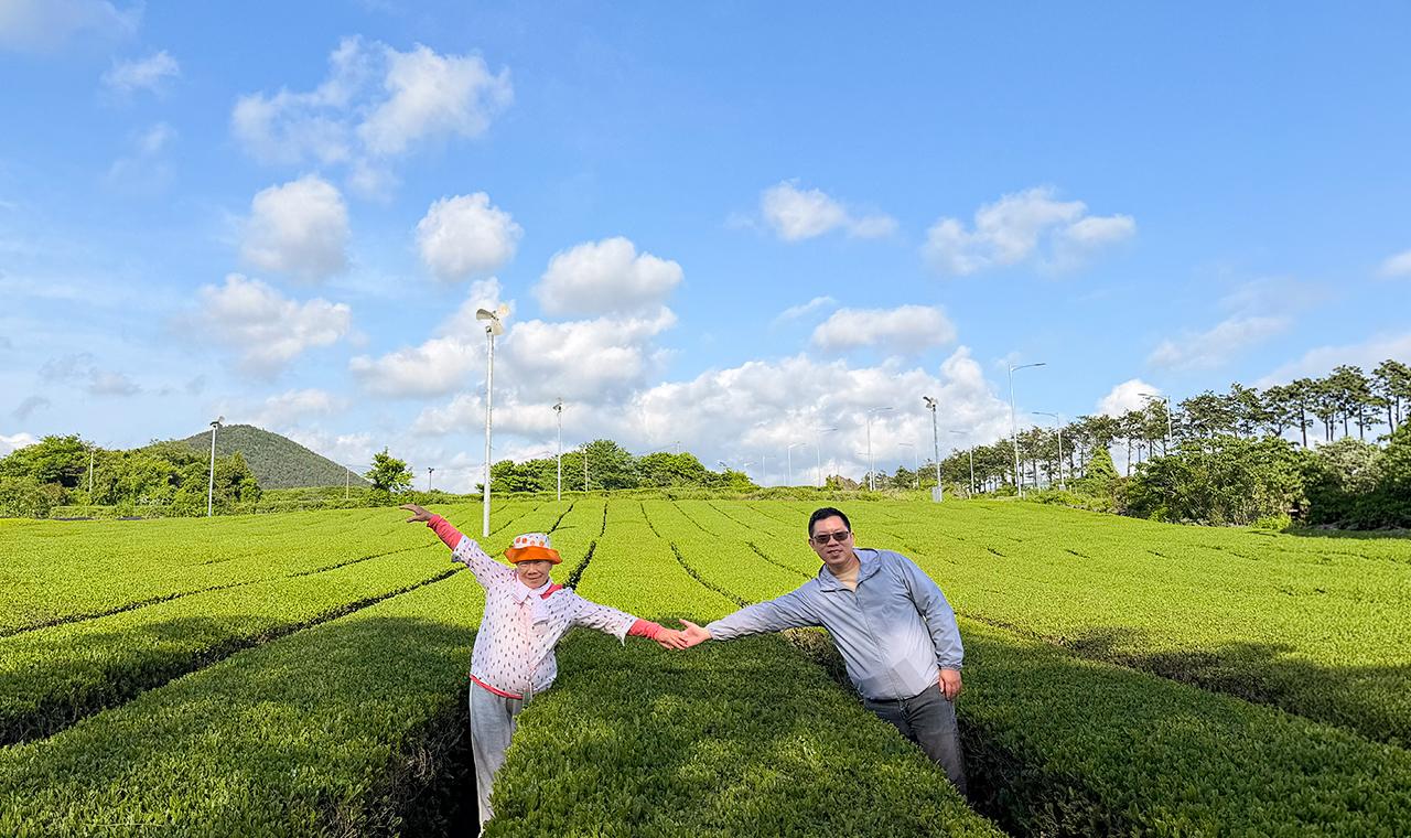 Jeju: South UNESCO Heritage & Mt Halla Hiking